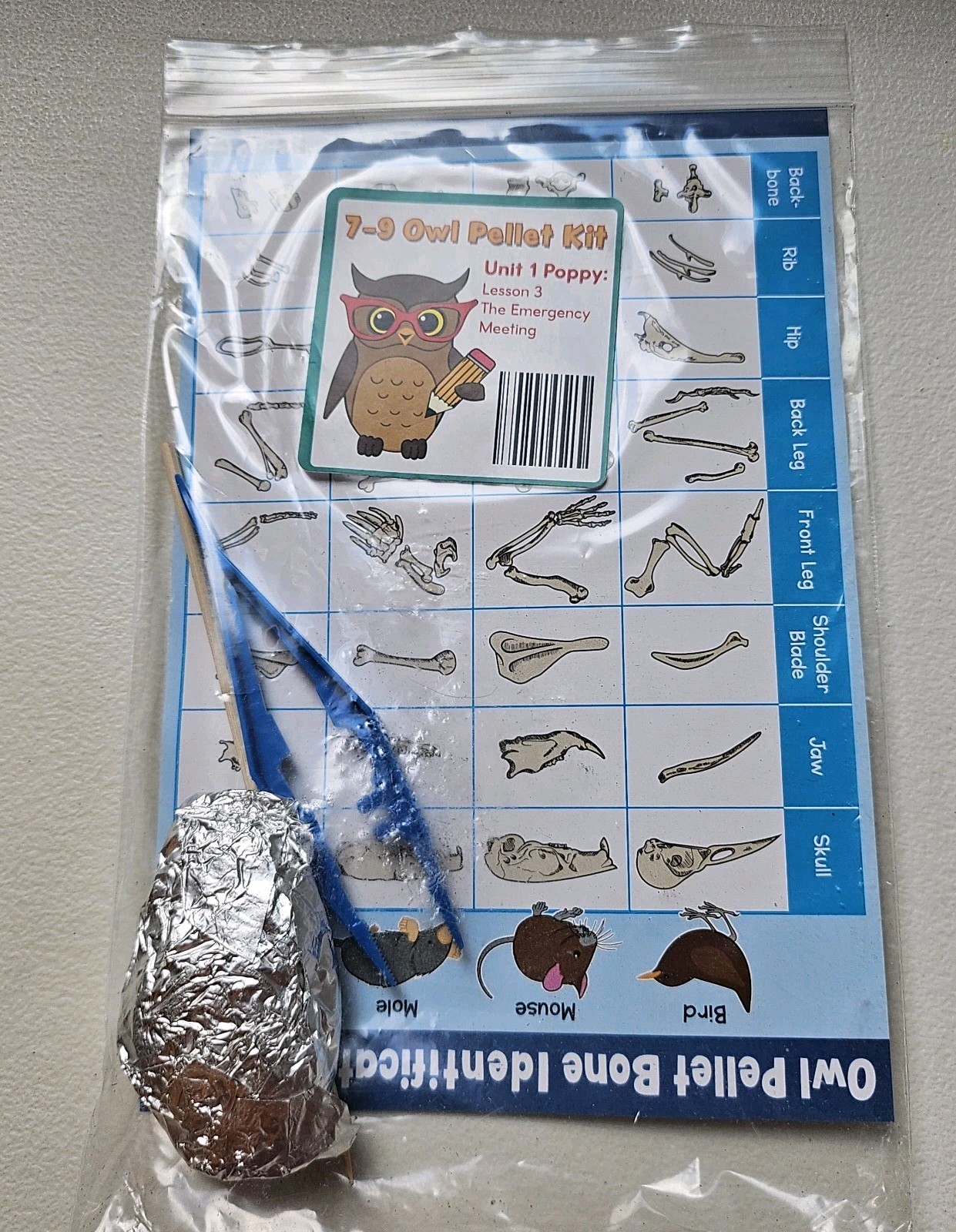 Moving Beyond The Page Age 7-9 Full Year Language Arts – No Owl Pellet Kit