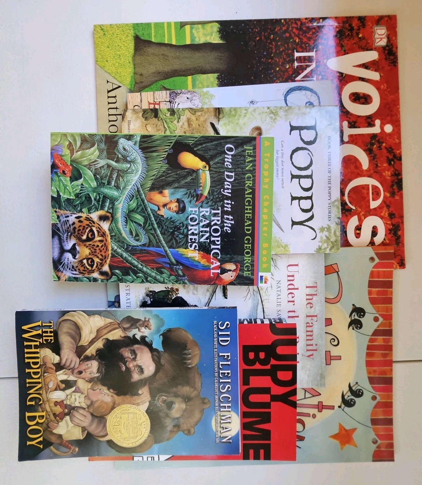 Moving Beyond The Page Age 7-9 Full Year Language Arts – No Owl Pellet Kit