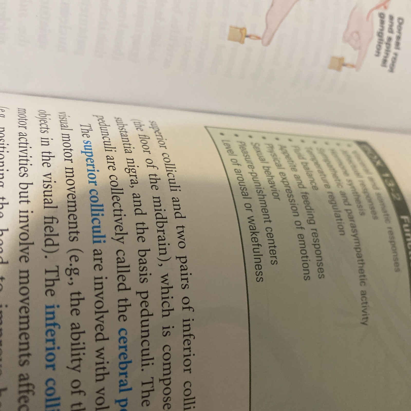 Understanding Pathophysiology by Kathryn L. McCance and Sue E. Huether (2016,…