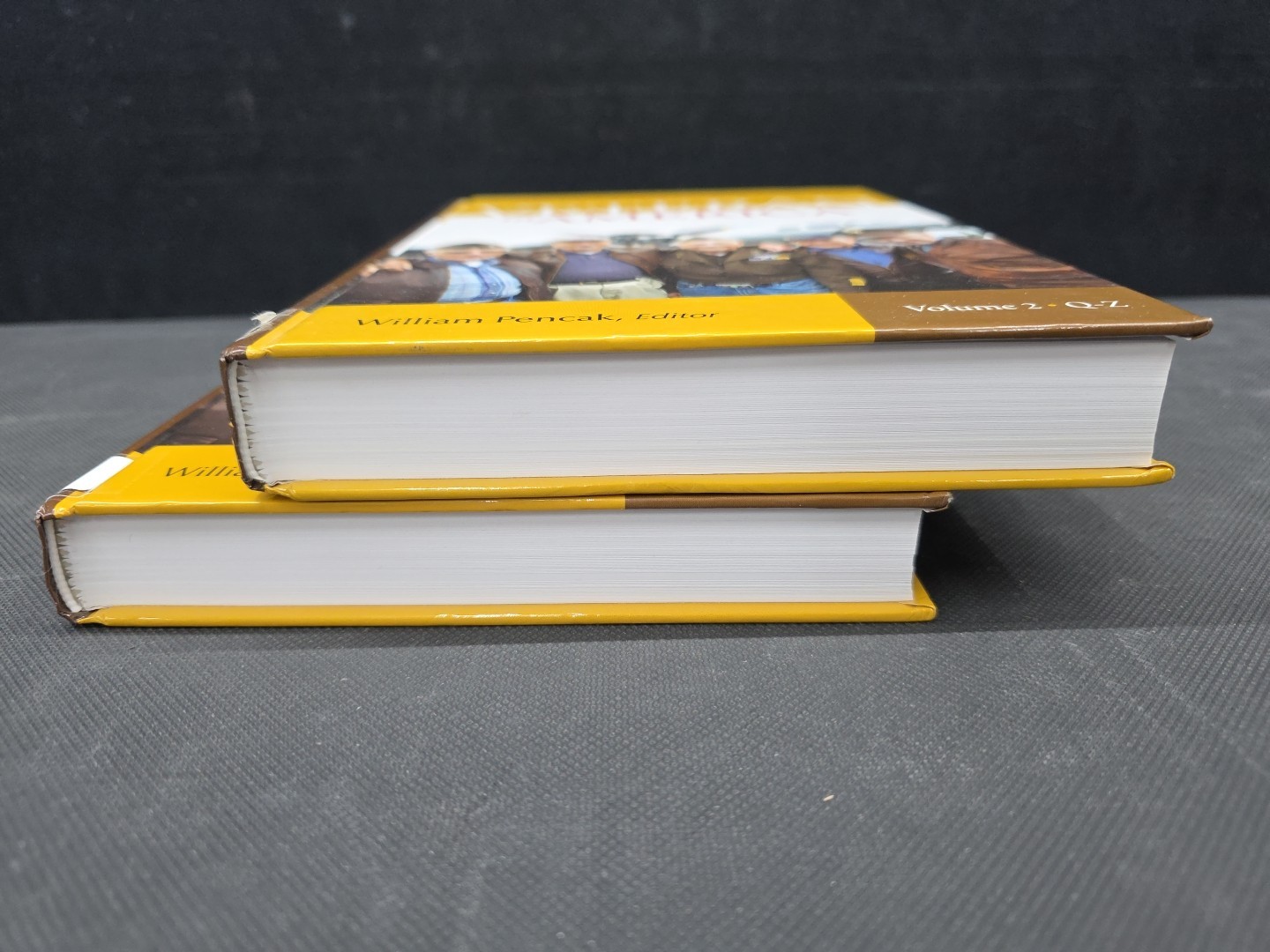 Encyclopedia of the Veteran in America [2 volumes]: 2 volumes