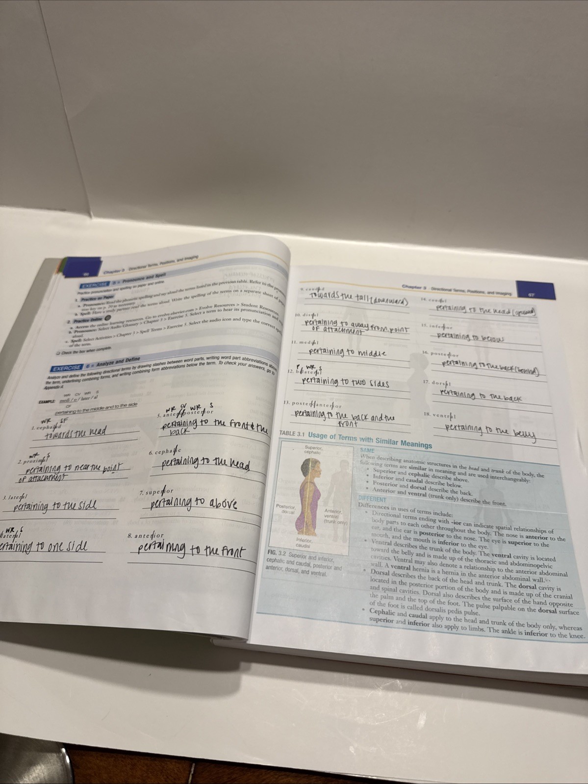 Exploring Medical Language: A Student-Directed Approach Edition 11