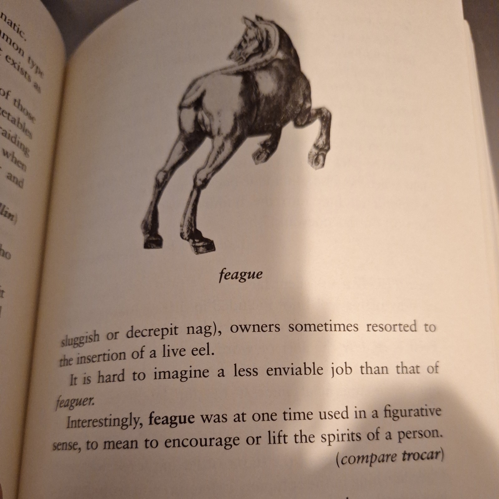 Depraved and Insulting English – paperback Novobatzky, Peter|Shea, Ammon