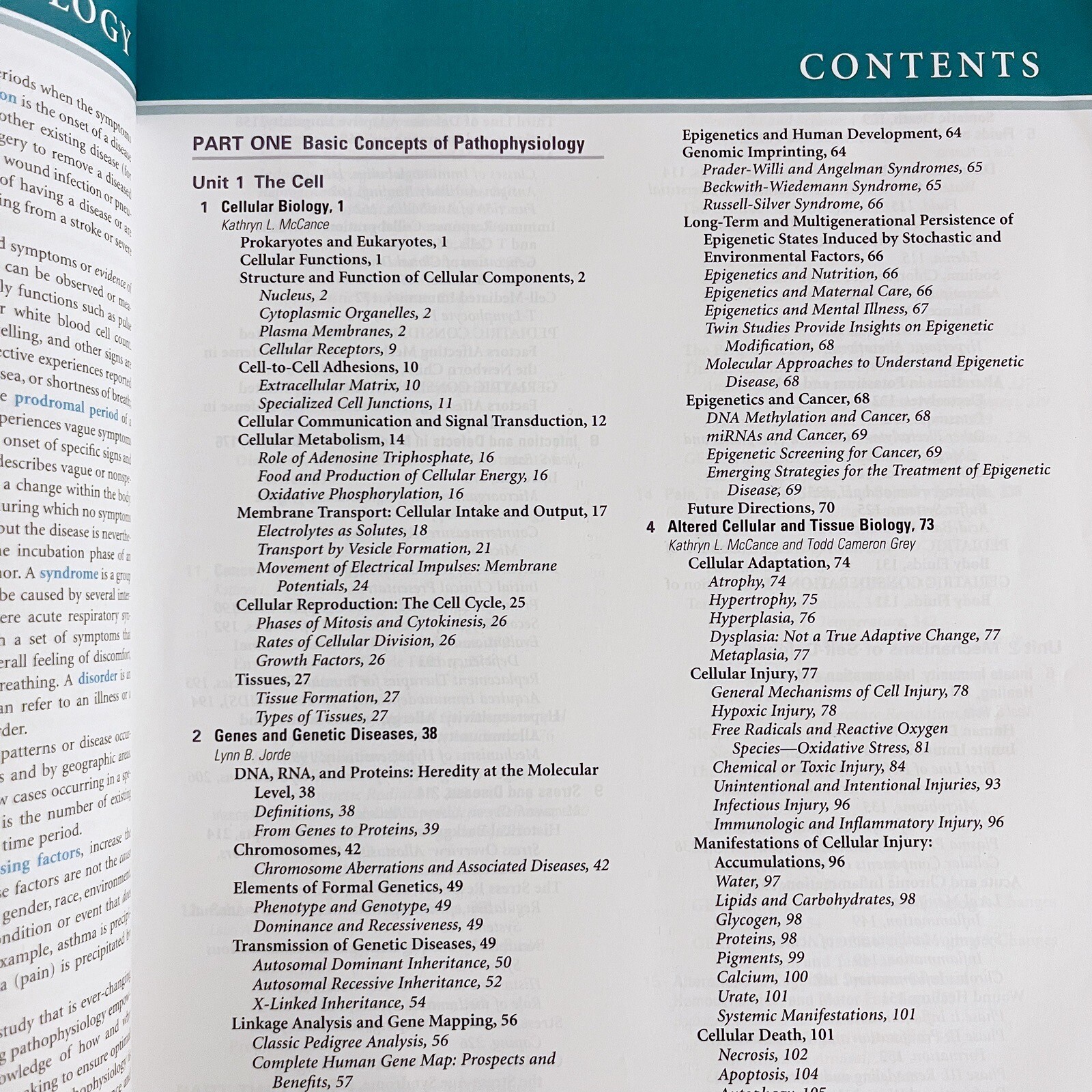 Understanding Pathophysiology Sixth Edition by Kathryn L. McCance Paperback