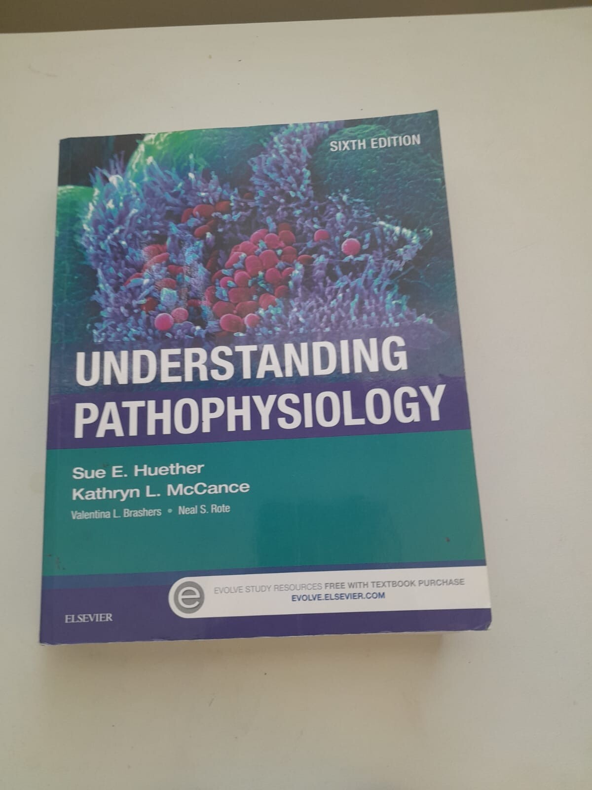 Understanding Pathophysiology by Kathryn L. McCance and Sue E. Huether (2016,…