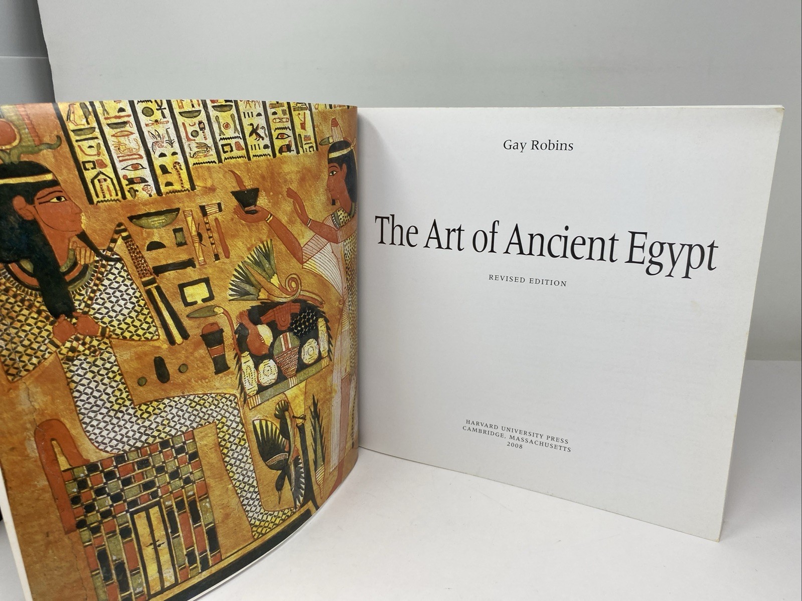 Art of Ancient Egypt : Revised Edition Gay Robins 2008 Paperback FREE SHIPPING!