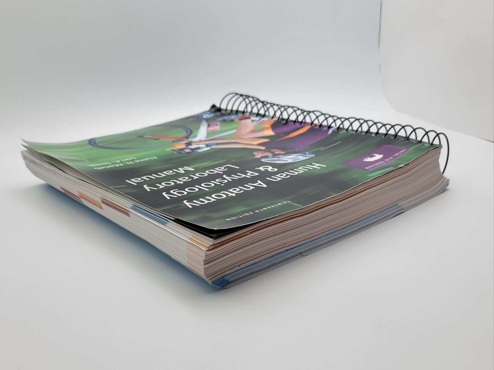 Pearson Human Anatomy & Physiology Lab Manual – Fetal Pig 13th Ed Spiral