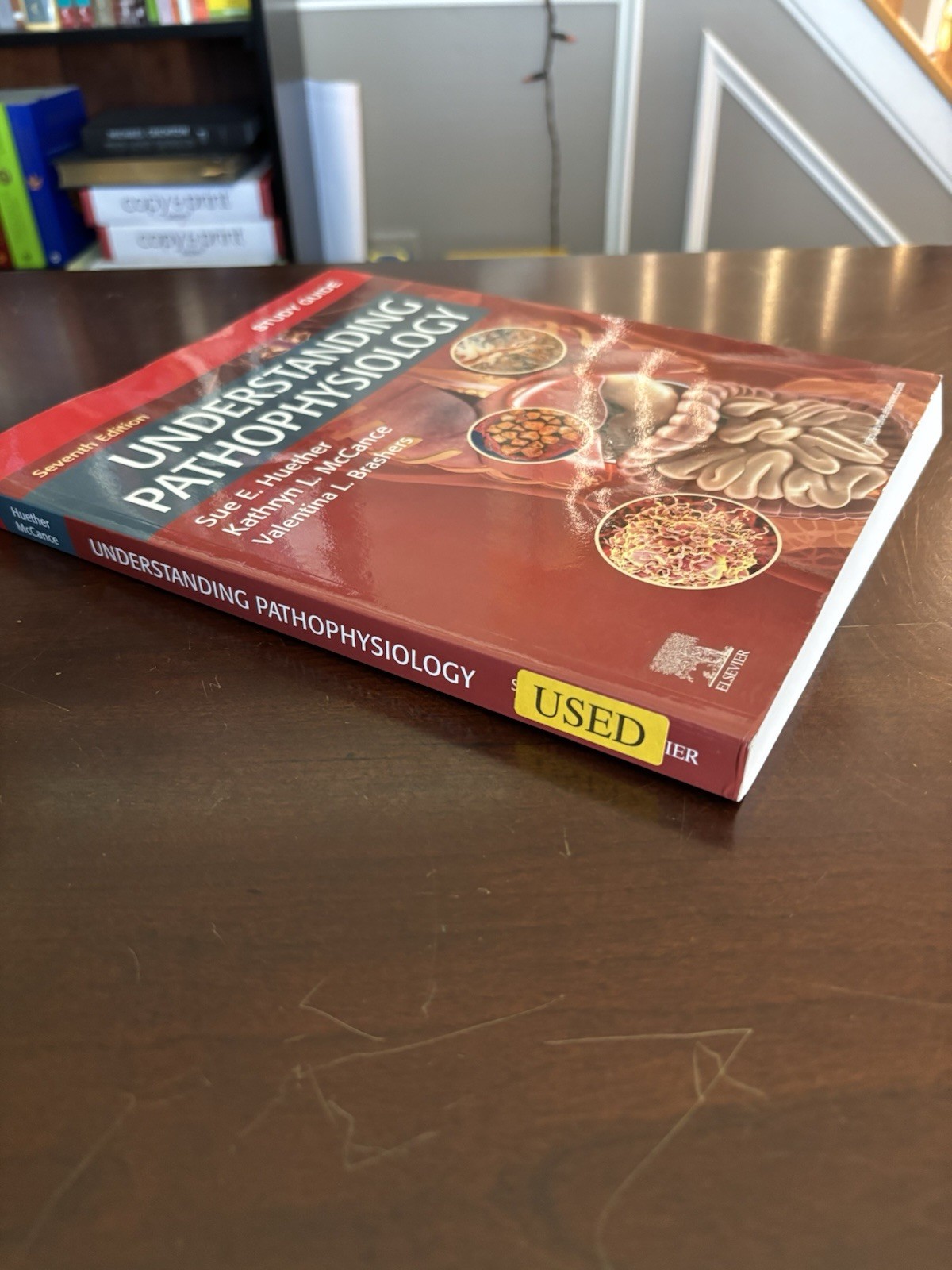 Study Guide for Understanding Pathophysiology by Kathryn L. McCance