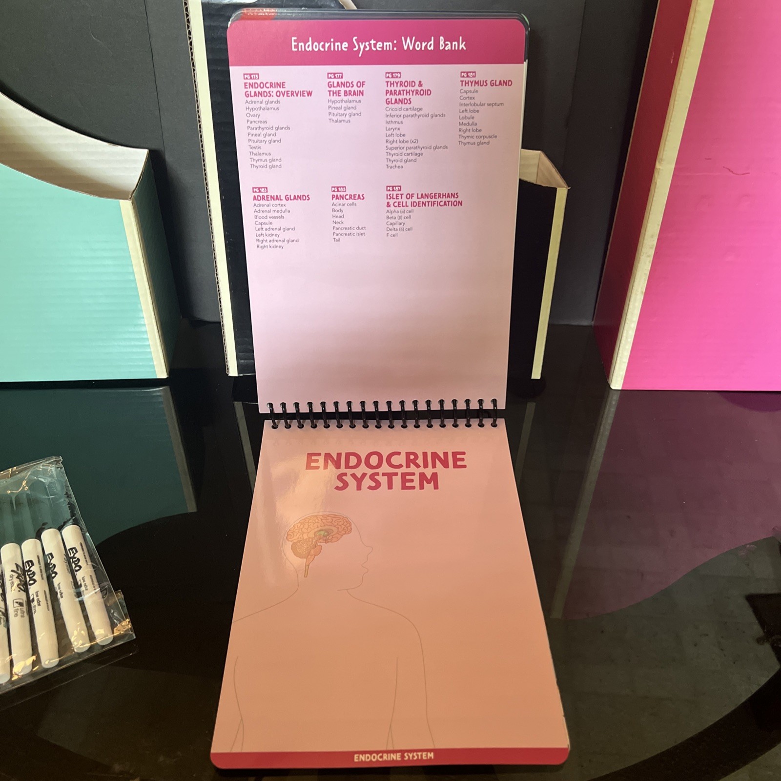 Nurse In The Making Anatomy Label Lab Workbook Laminated Spiral Bound