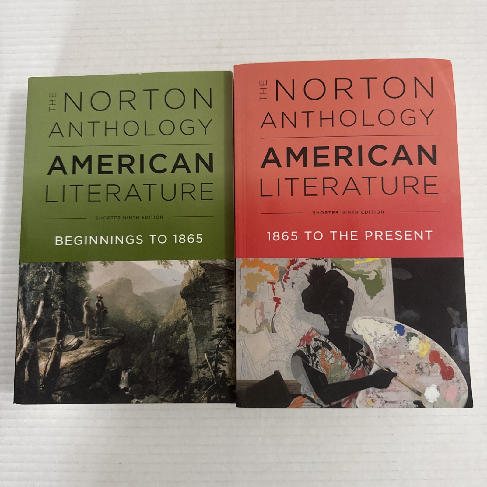The Norton Anthology of American Literature Shorter 9th Edition, 2 Vol Set