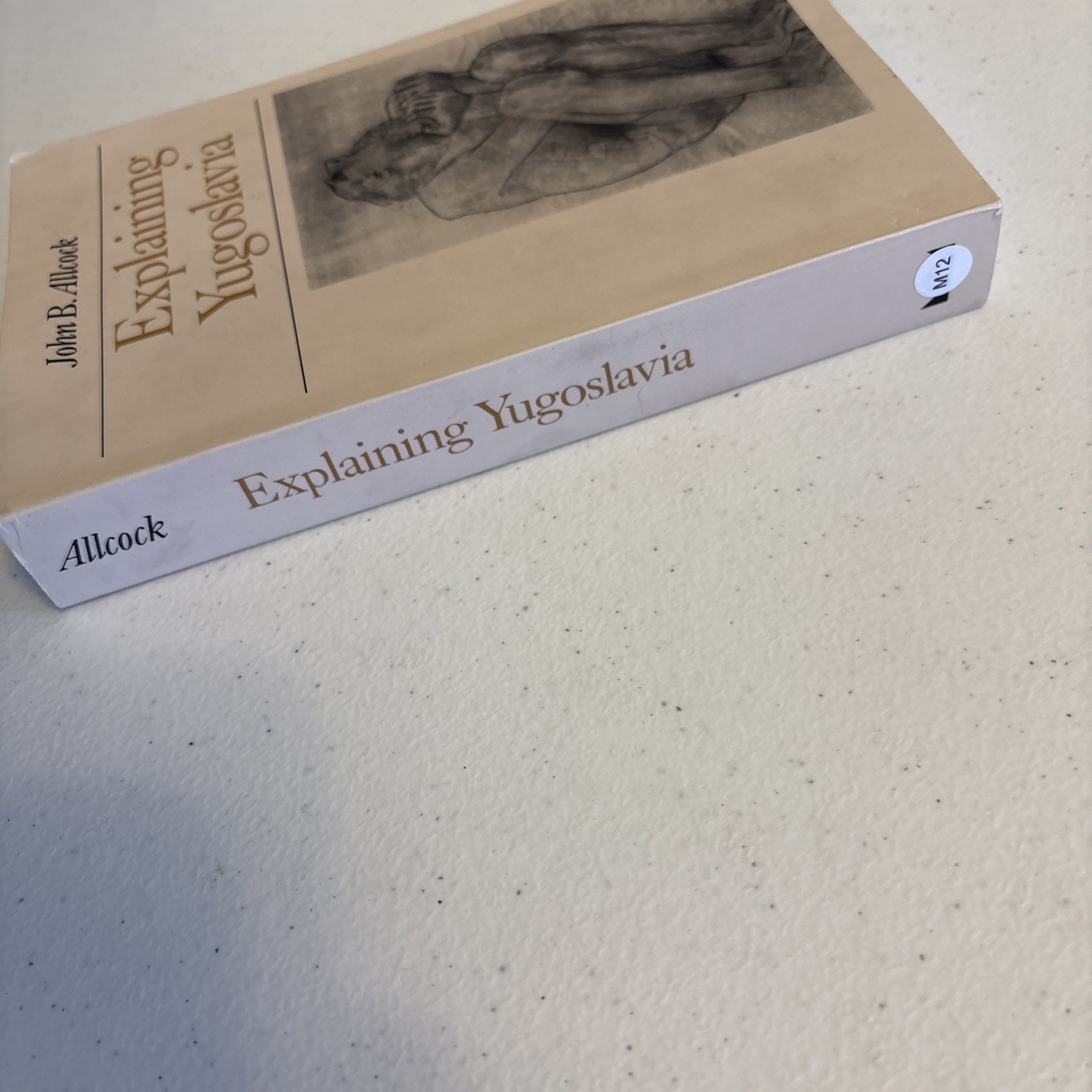 Explaining Yugoslavia by John Allcock (2004, Trade Paperback)