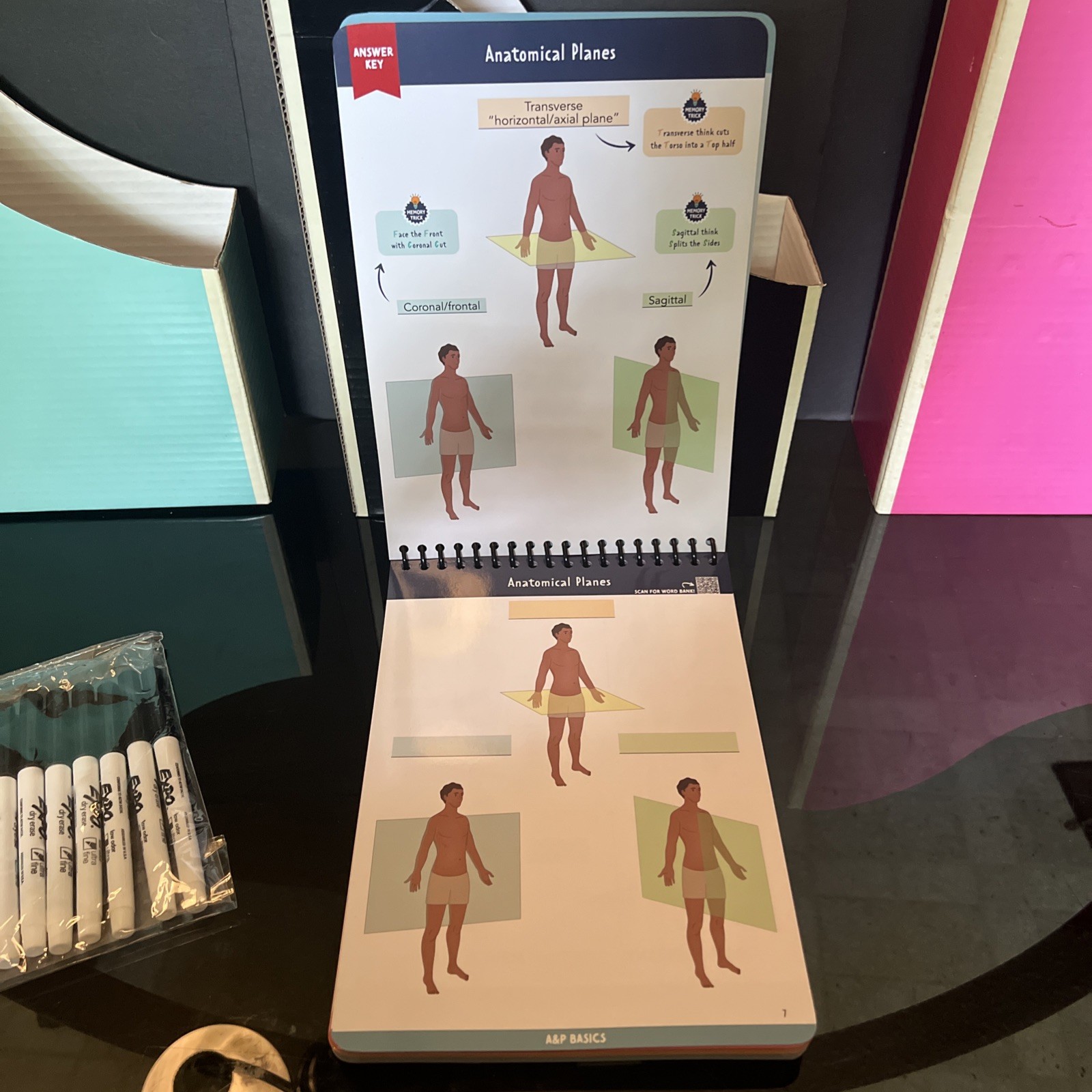 Nurse In The Making Anatomy Label Lab Workbook Laminated Spiral Bound