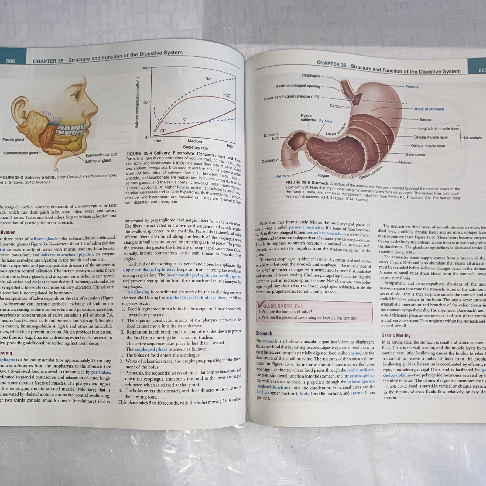 Understanding Pathophysiology by Kathryn L. McCance and Sue E. Huether (2016,…