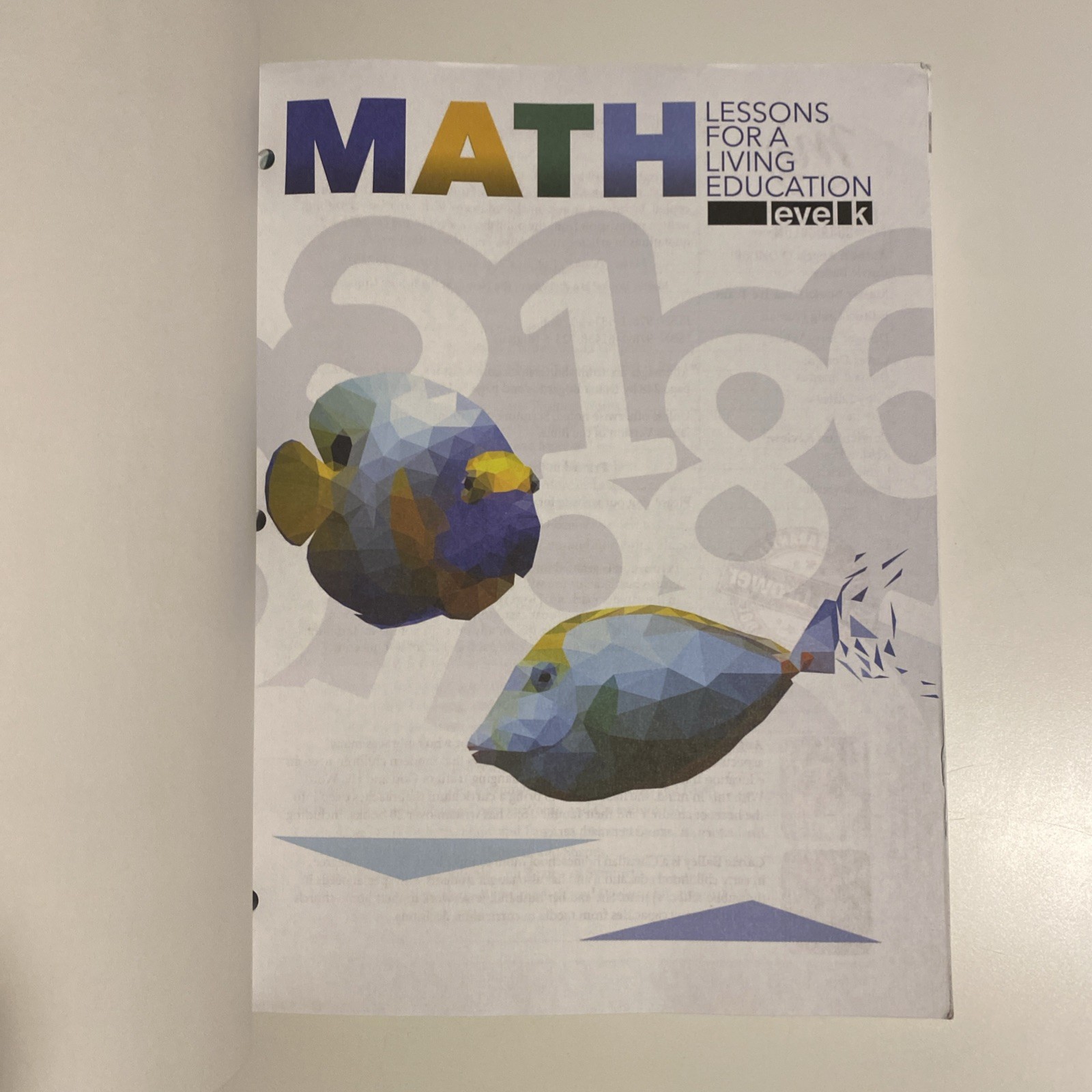 Math Lessons for a Living Education: Level K [Master Books]