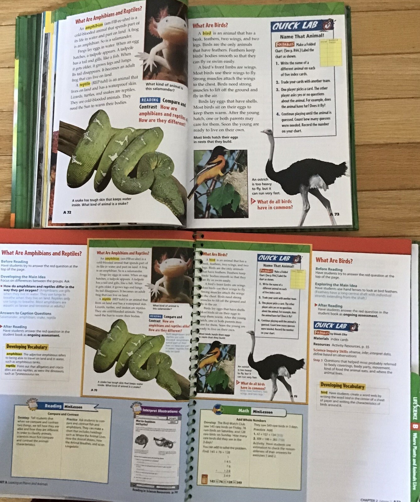 3rd Grade 3 Science Teachers Editions Test Workbook McGraw Homeschool Bundle Set