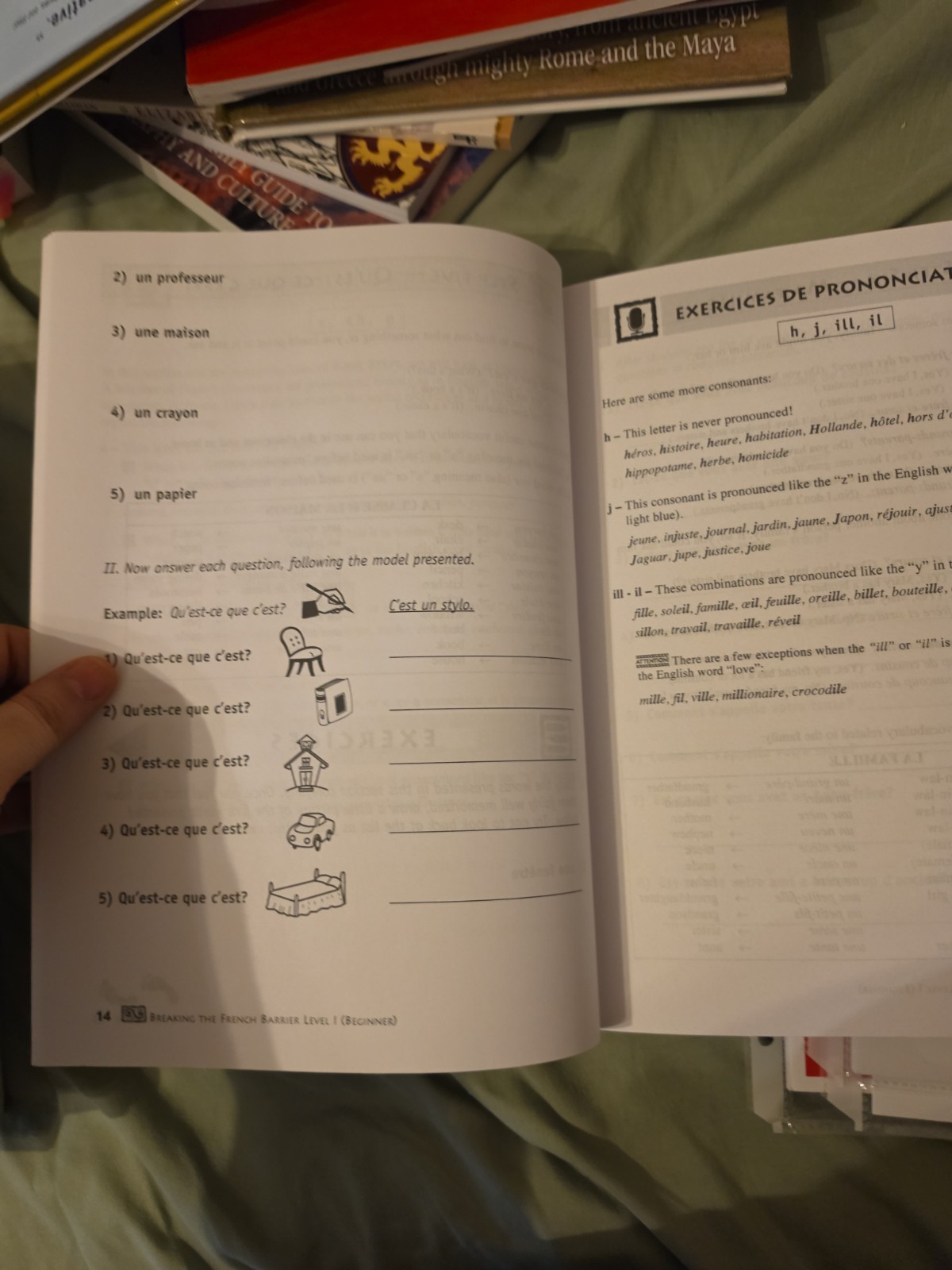 Breaking the French Barrier Homeschool Package Level One/Beginner