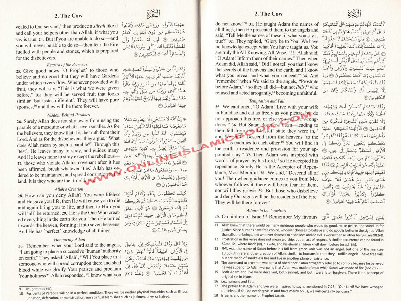 The Clear Quran with Arabic Text (Flexible Cover)