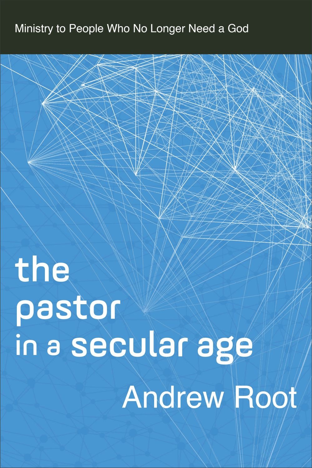 Pastor in a Secular Age (Ministry in a Secular Age) .. NEW