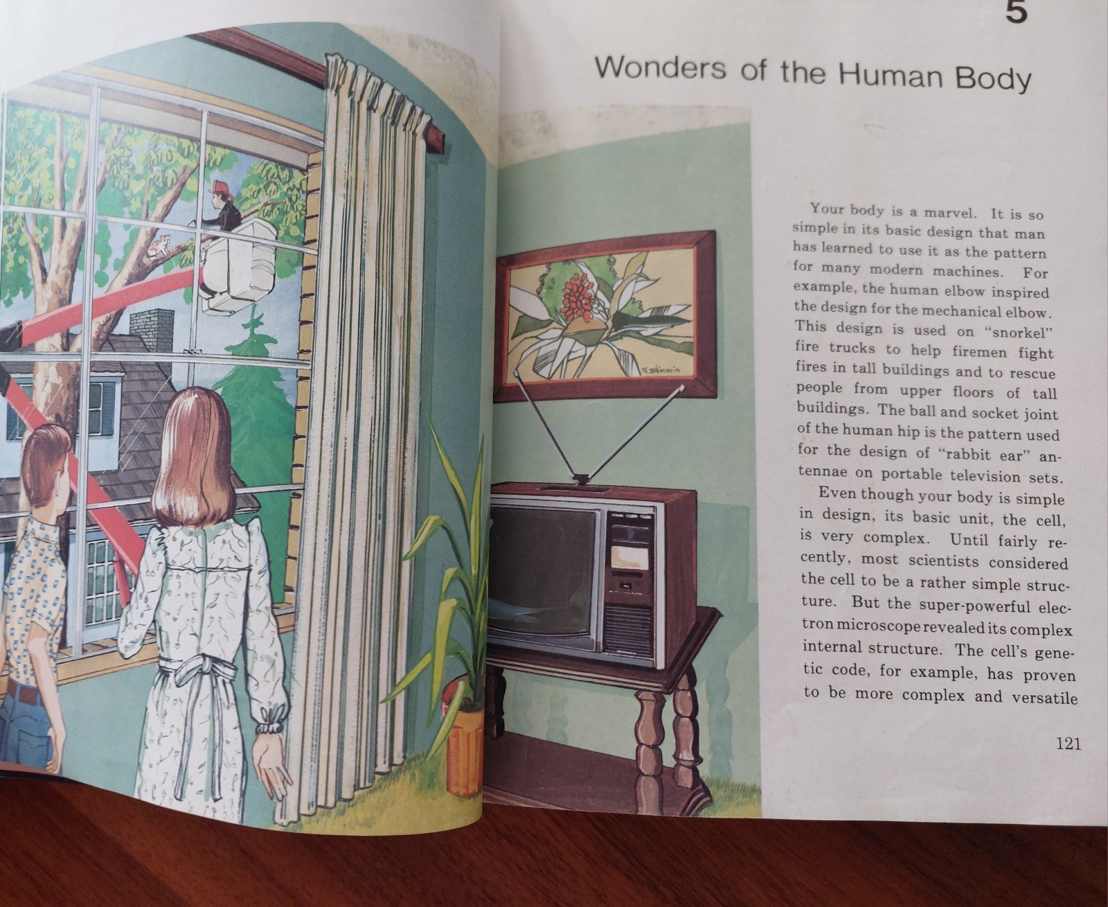 Abeka 5 Science Textbook Vintage 1977 Investigating God’s World
