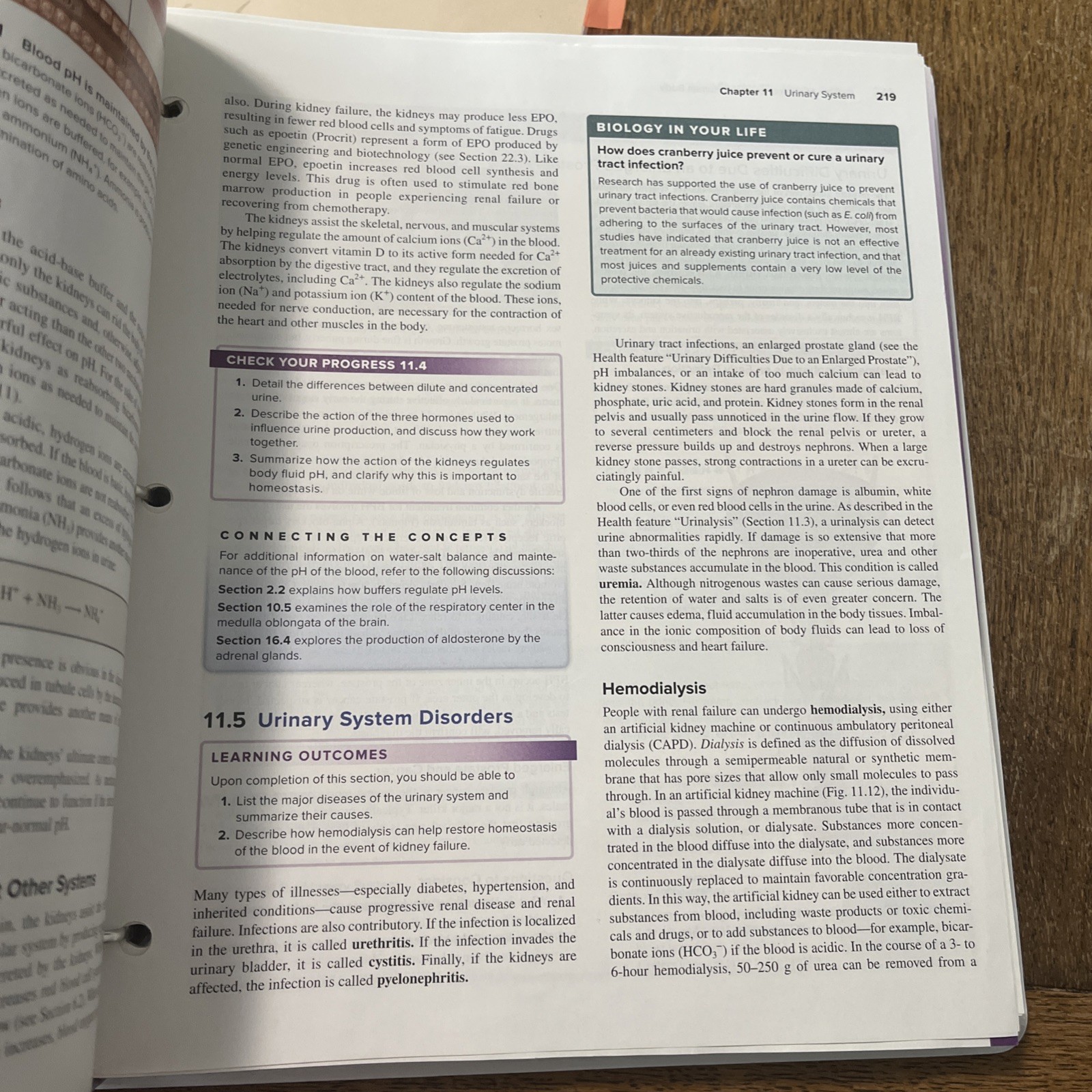 Looseleaf for Human Biology (2025 – Loose Leaf, by Sylvia S. Mader; – New