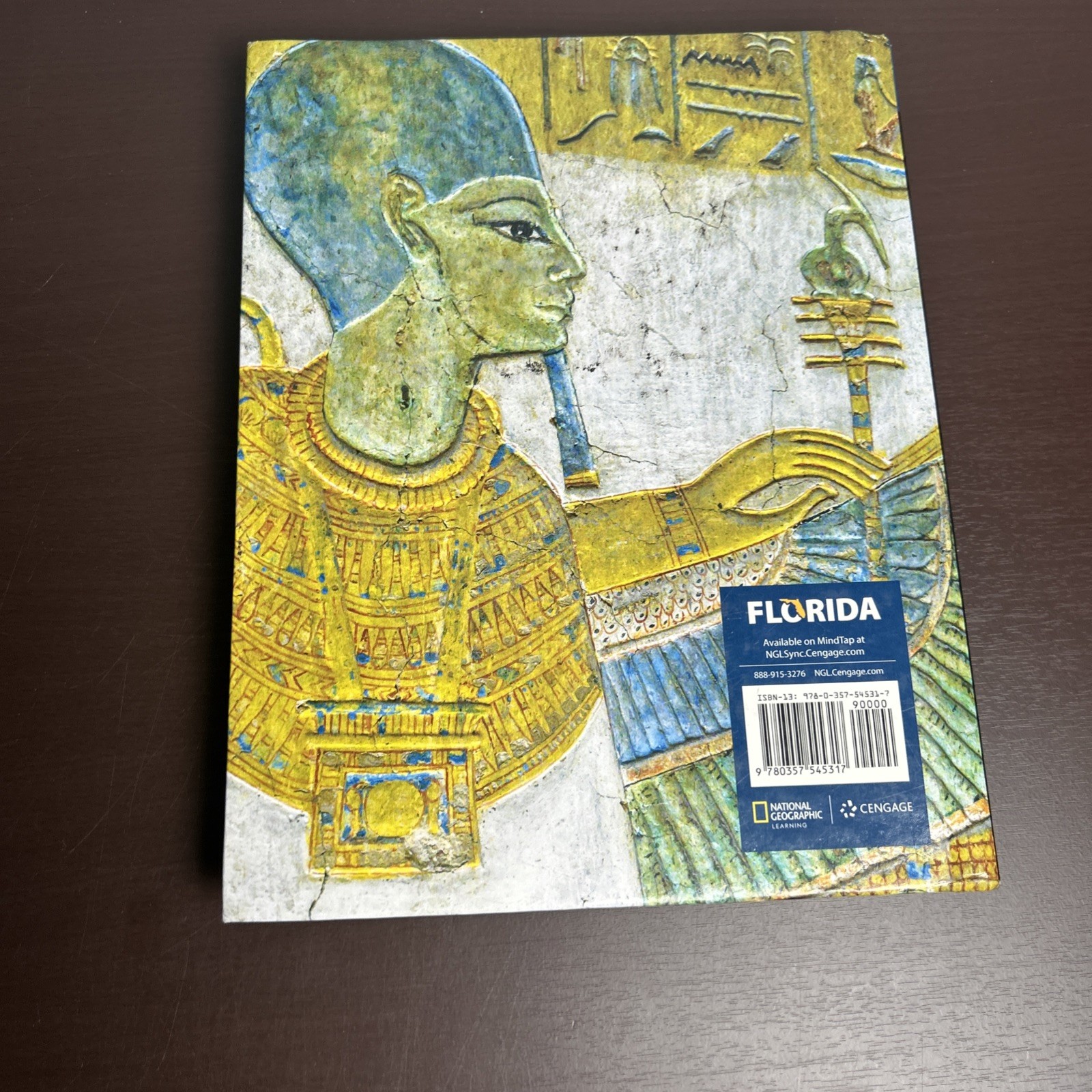 National Geographic World History Ancient Civilizations 2024 Florida ACCEPTABLE
