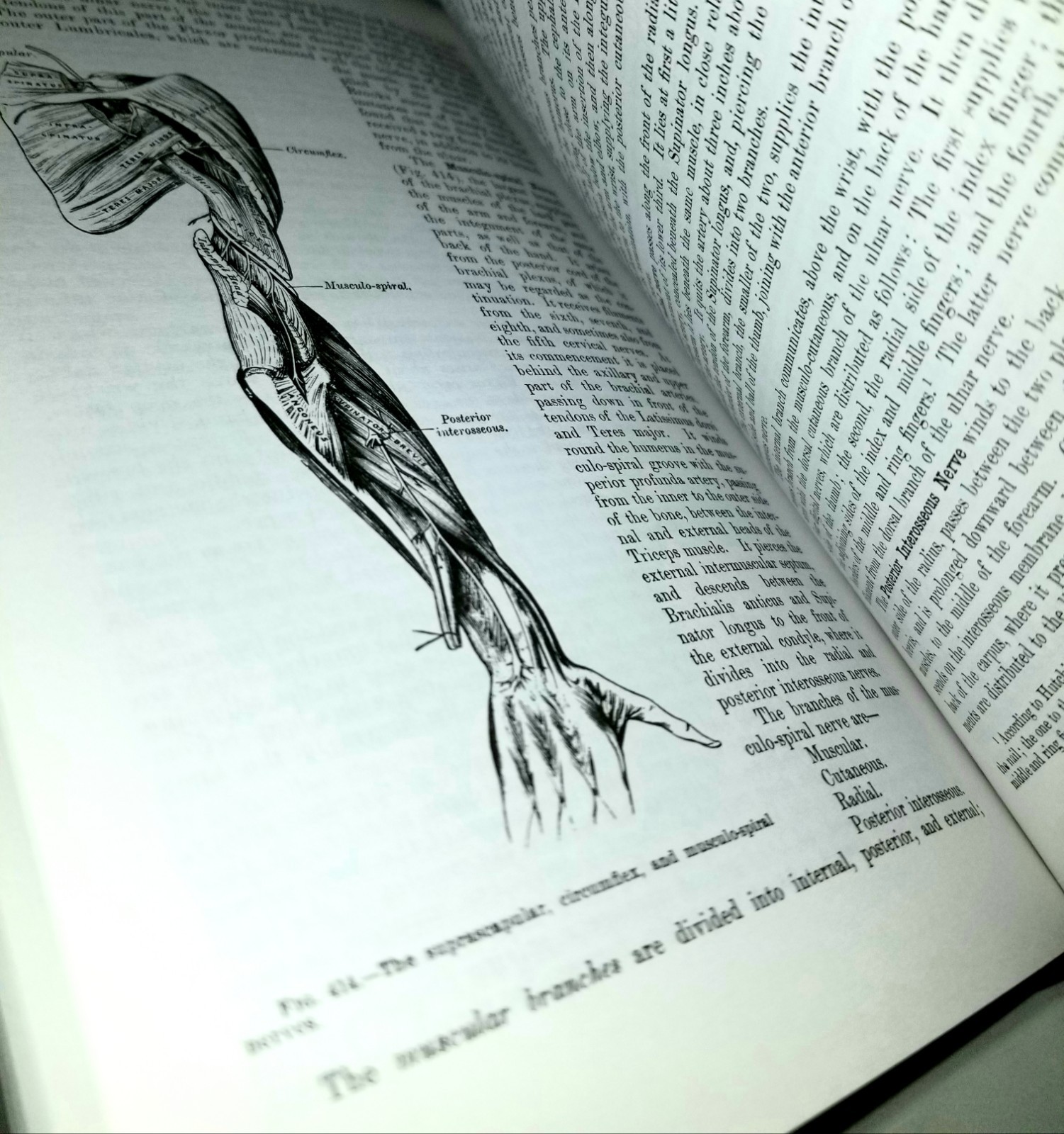 Gray’s Anatomy Unabridged Book By Running Press Edition of the American Classic