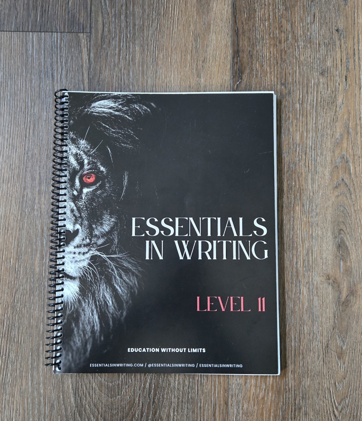 **Essentials In Writing Level 11 Student Book and DVD Lessons*High School EIW