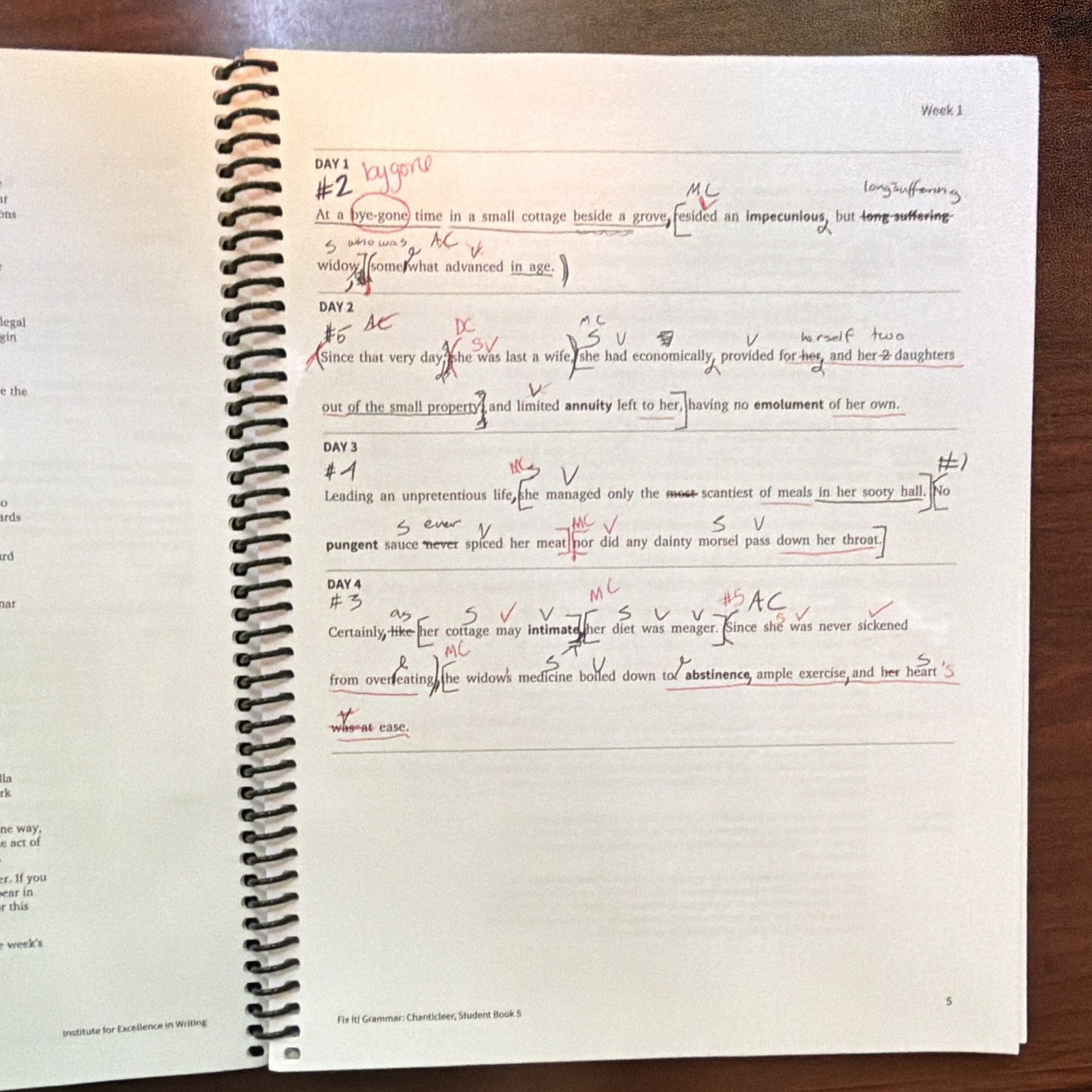 Fix It! Grammar: Chanticleer Book 5 Teacher Manual & Student Book Set Spiral