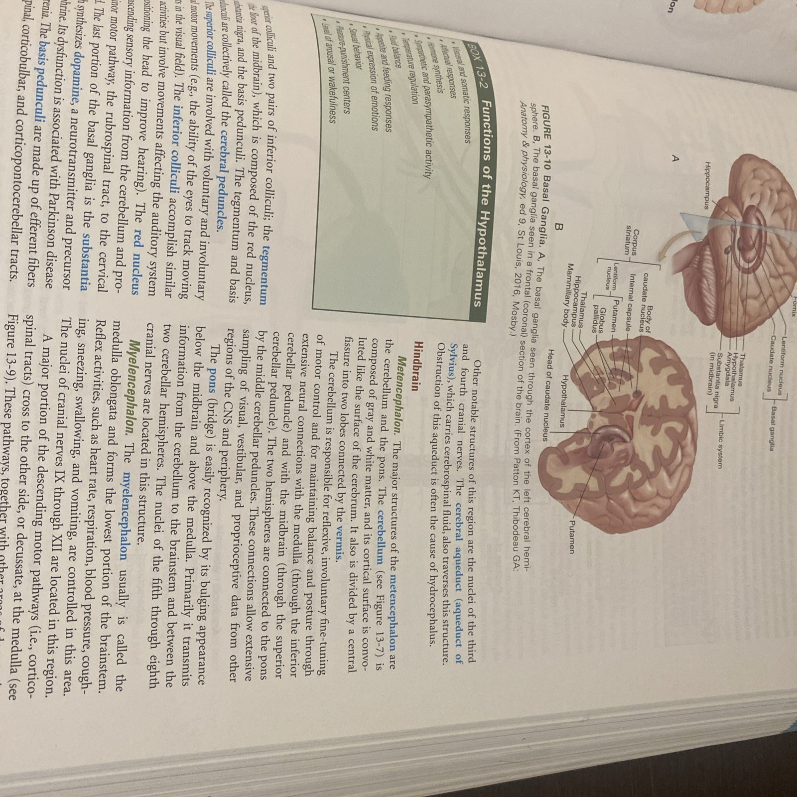 Understanding Pathophysiology by Kathryn L. McCance and Sue E. Huether (2016,…