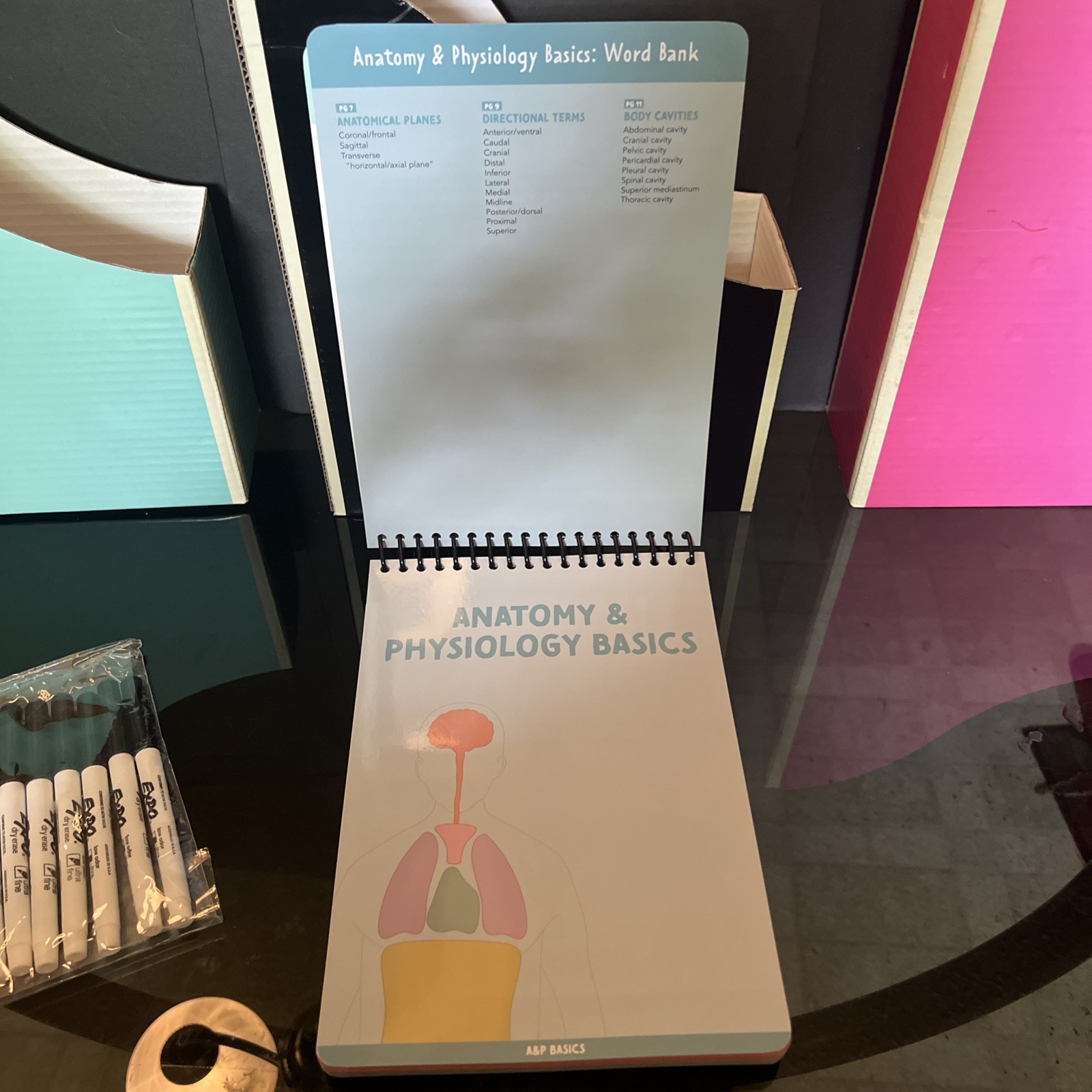 Nurse In The Making Anatomy Label Lab Workbook Laminated Spiral Bound