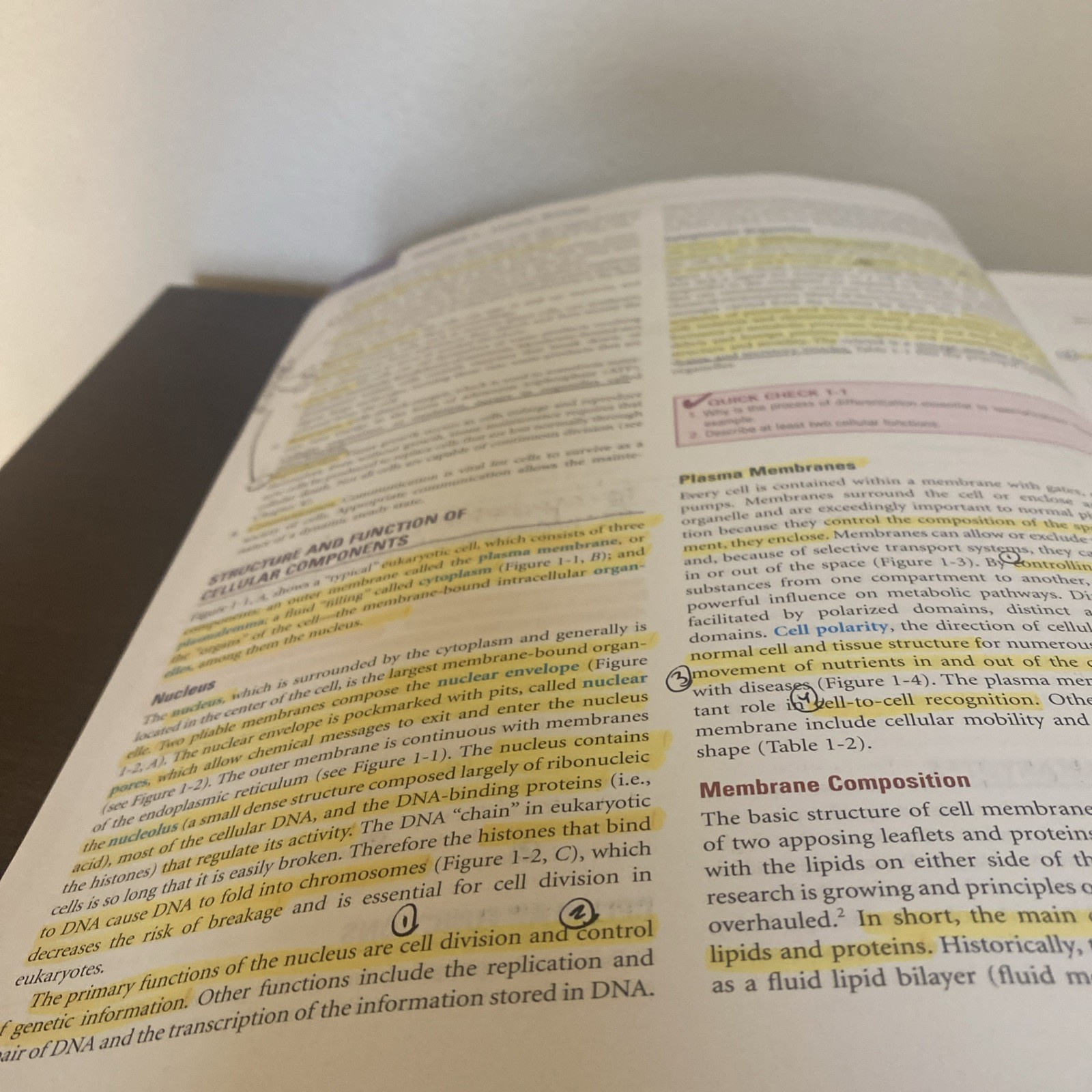 Understanding Pathophysiology by Kathryn L. McCance and Sue E. Huether (2016,…