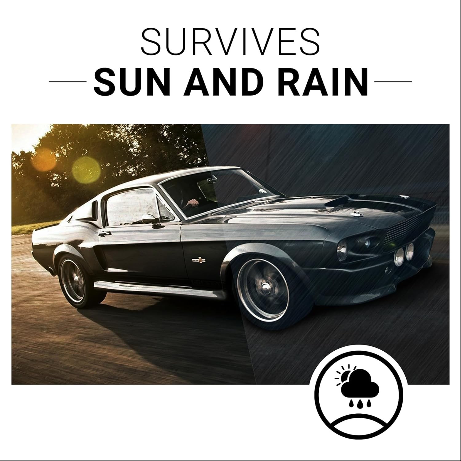 Revitalize Your Vehicle: 8 Oz Plastic and Trim Restorer with Lasting Results
