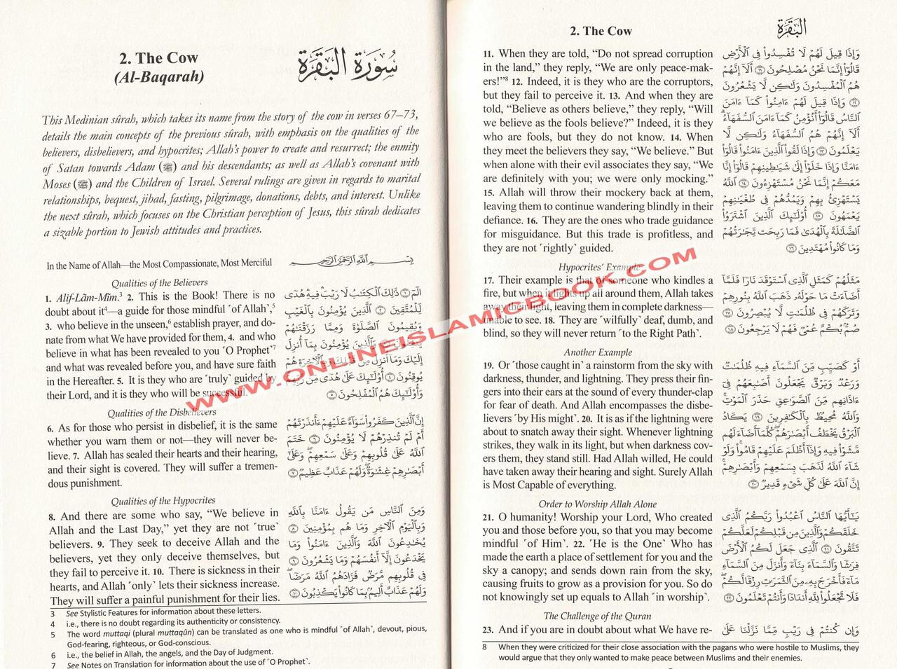 The Clear Quran with Arabic Text (Flexible Cover)
