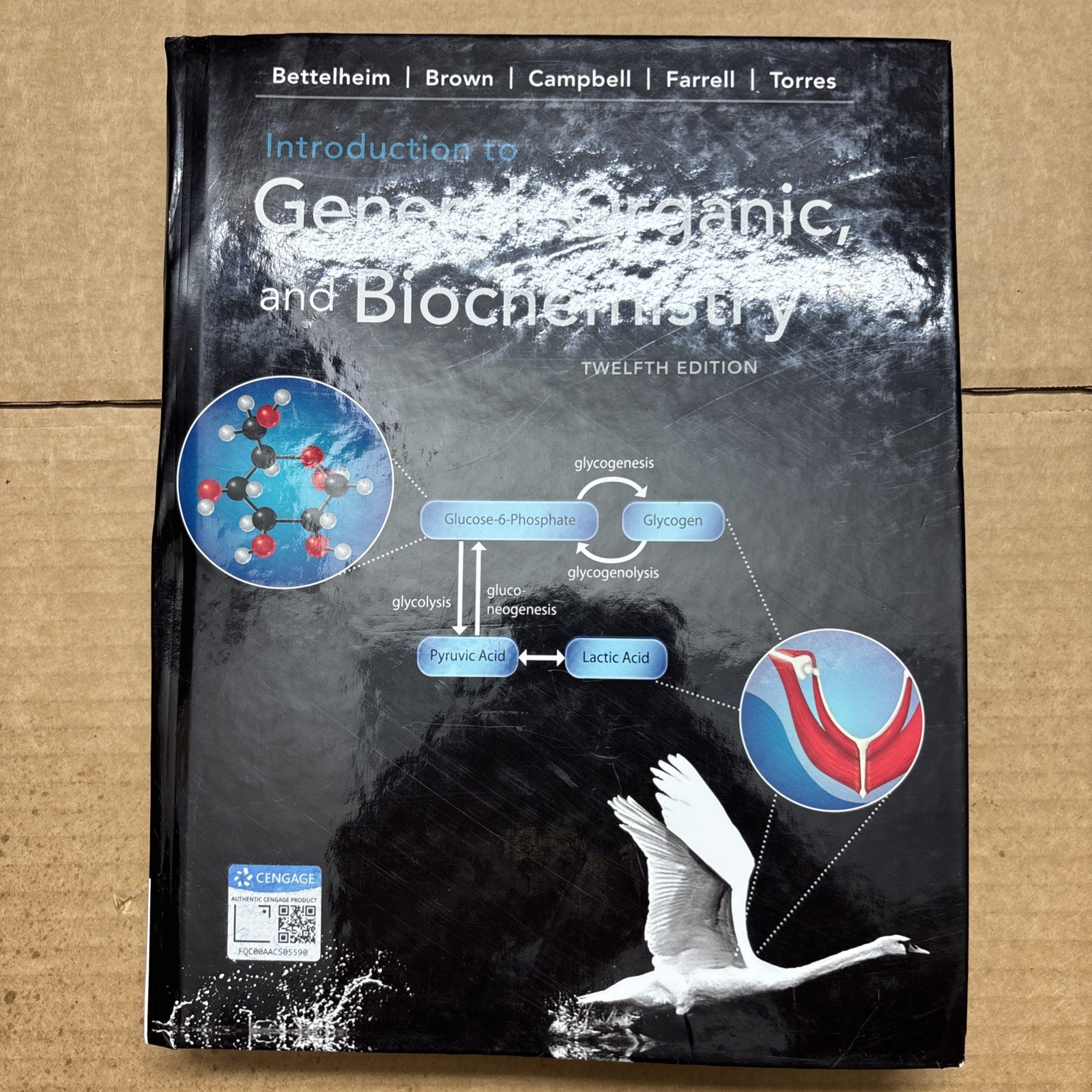 Introduction to General, Organic, and Biochemistry by William Brown, Mary…