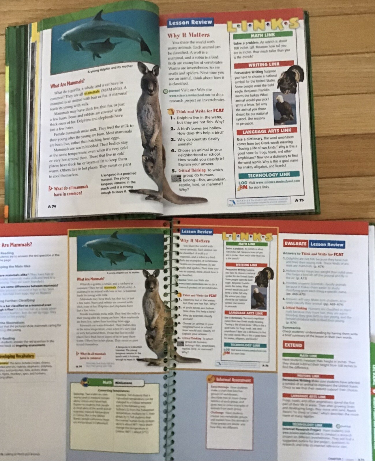3rd Grade 3 Science Teachers Editions Test Workbook McGraw Homeschool Bundle Set