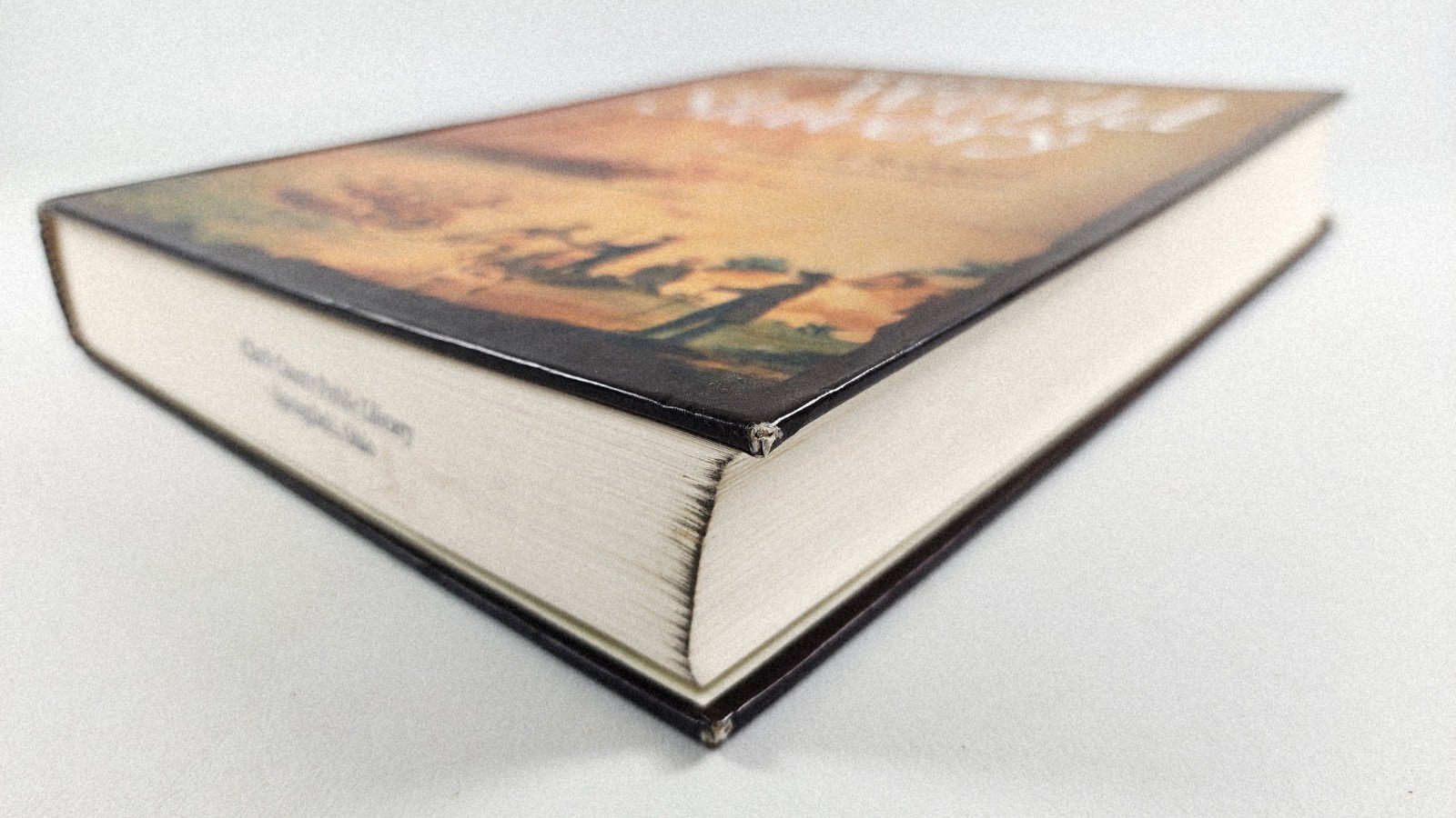 Chronology of World Slavery Junius P. Rodriguez Hardcover, Ex-Library Reference