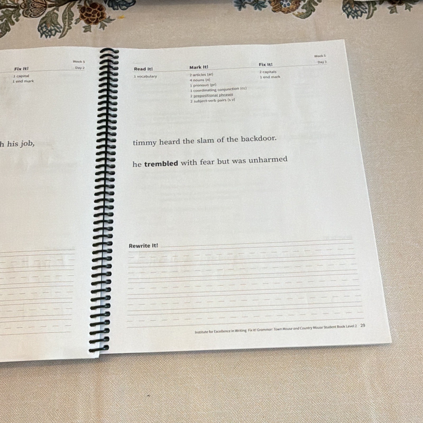 Fix It! Grammar Level 2 Student Book and Teacher manual