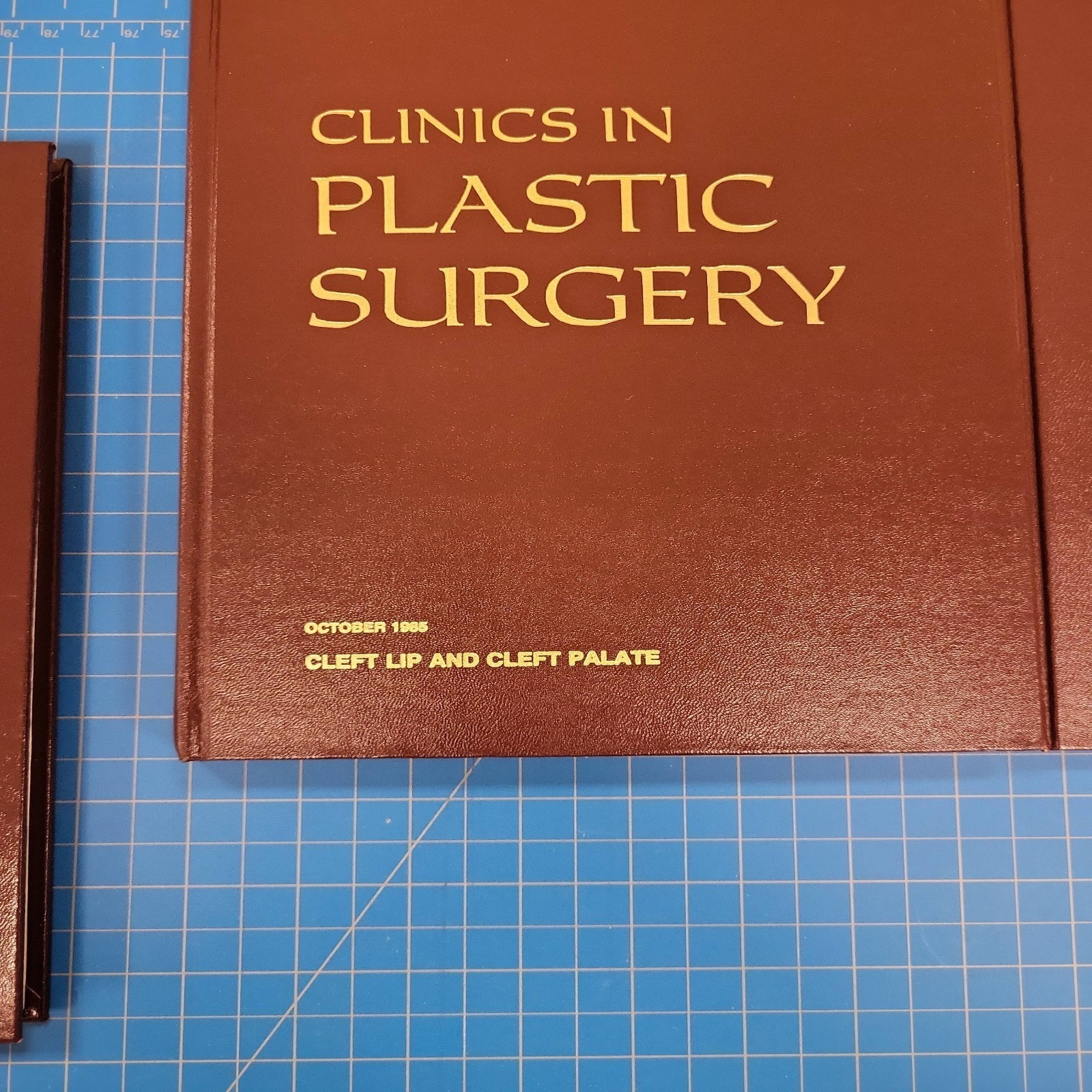 Clinics in Plastic Surgery 9 Vol Set 1985-1987 Saunders Medical Textbooks