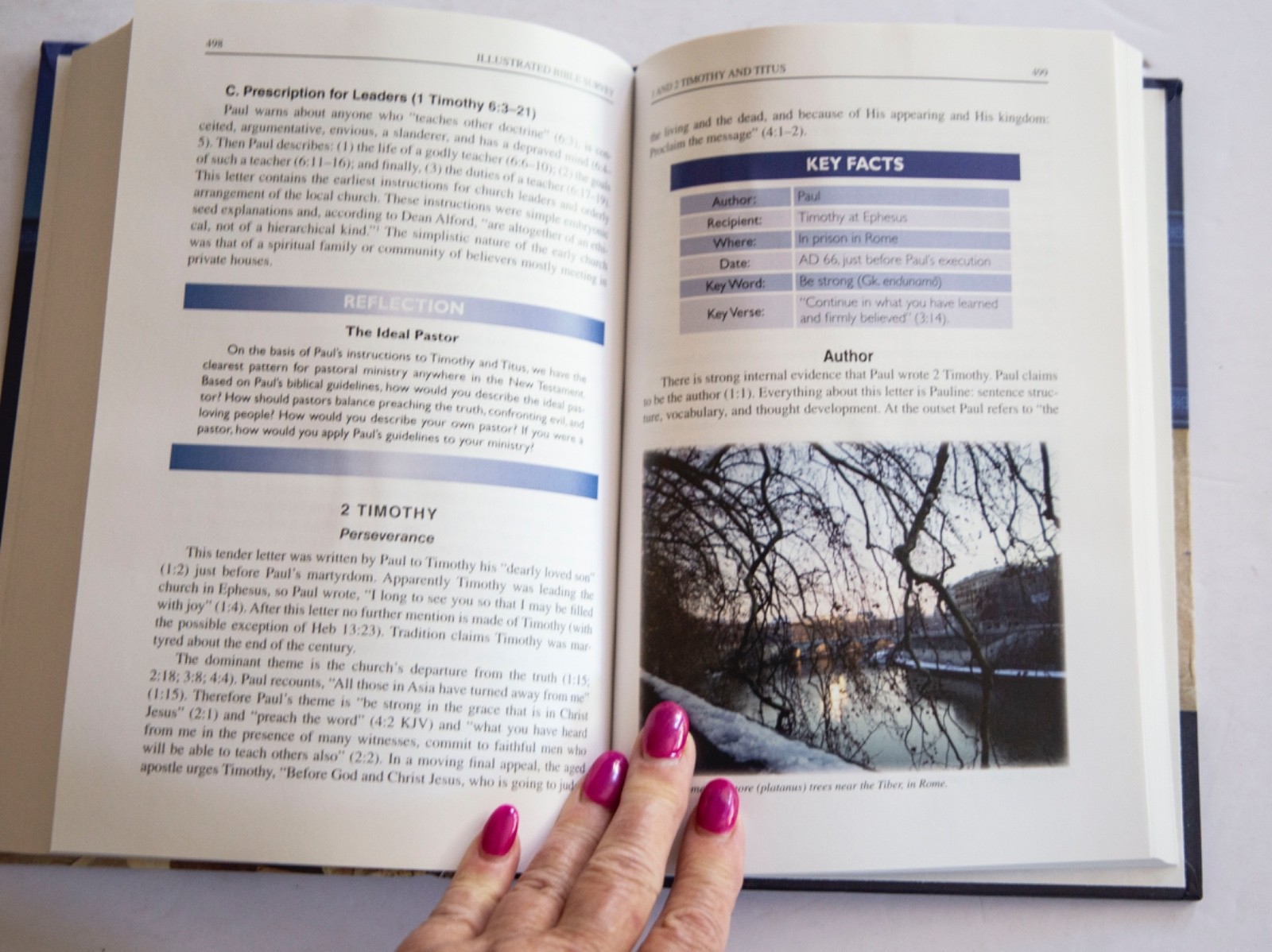 Illustrated Bible Survey: An Introduction – Hardcover By Hindson, Ed-LN