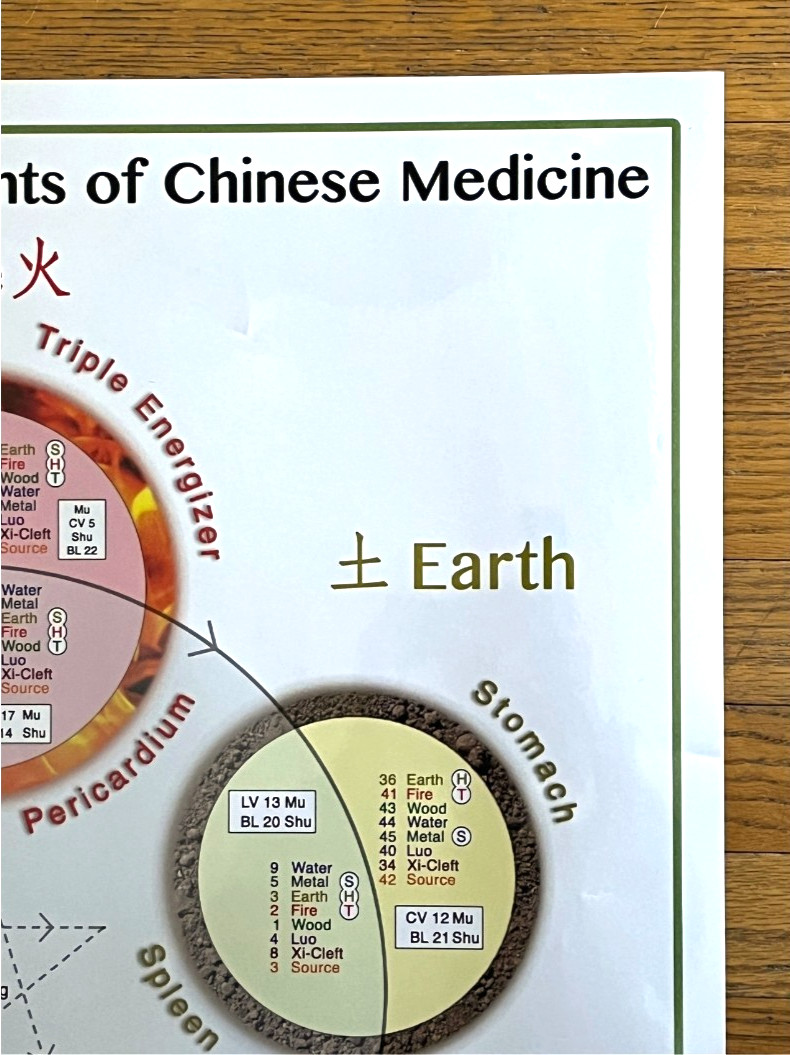 Laminated Wall Chart The Five Elements of Chinese Medicine Miridia Acupuncture