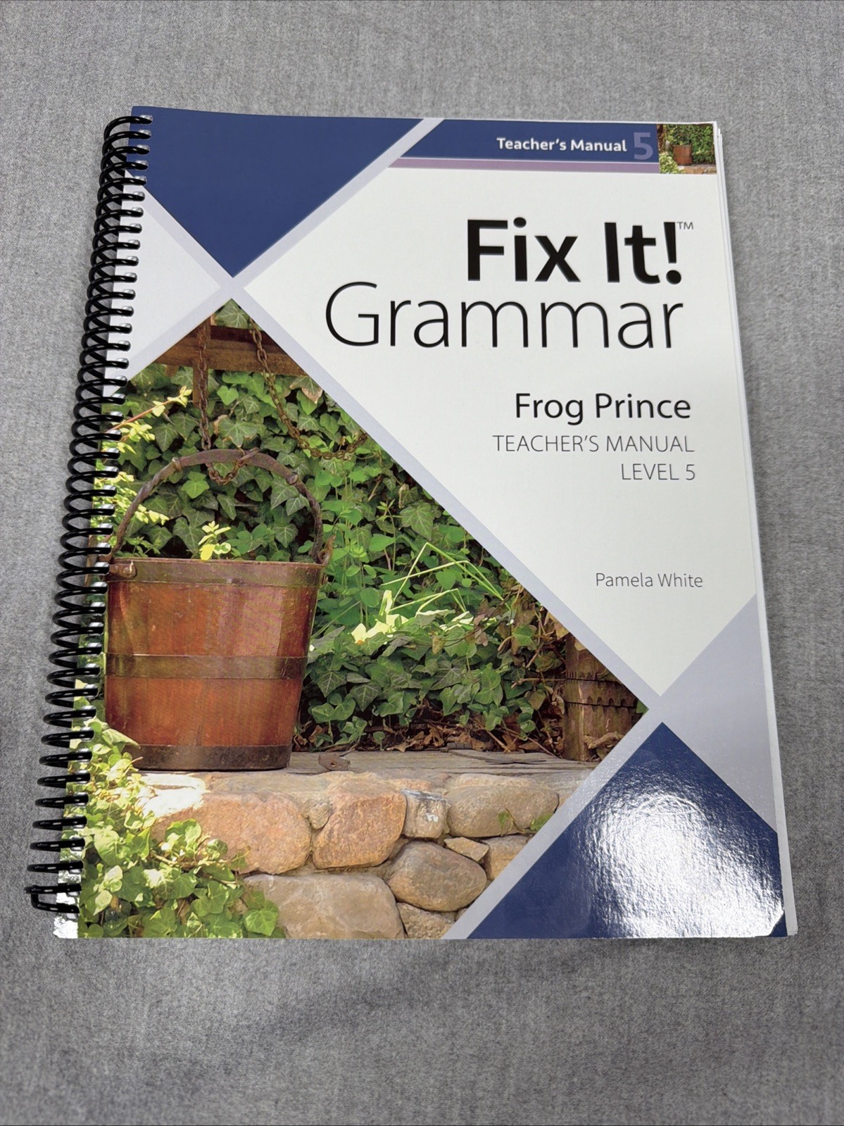Fix It! Grammar Level 3-5 [Teacher’s Manual] 4th Edition (Lot 3)