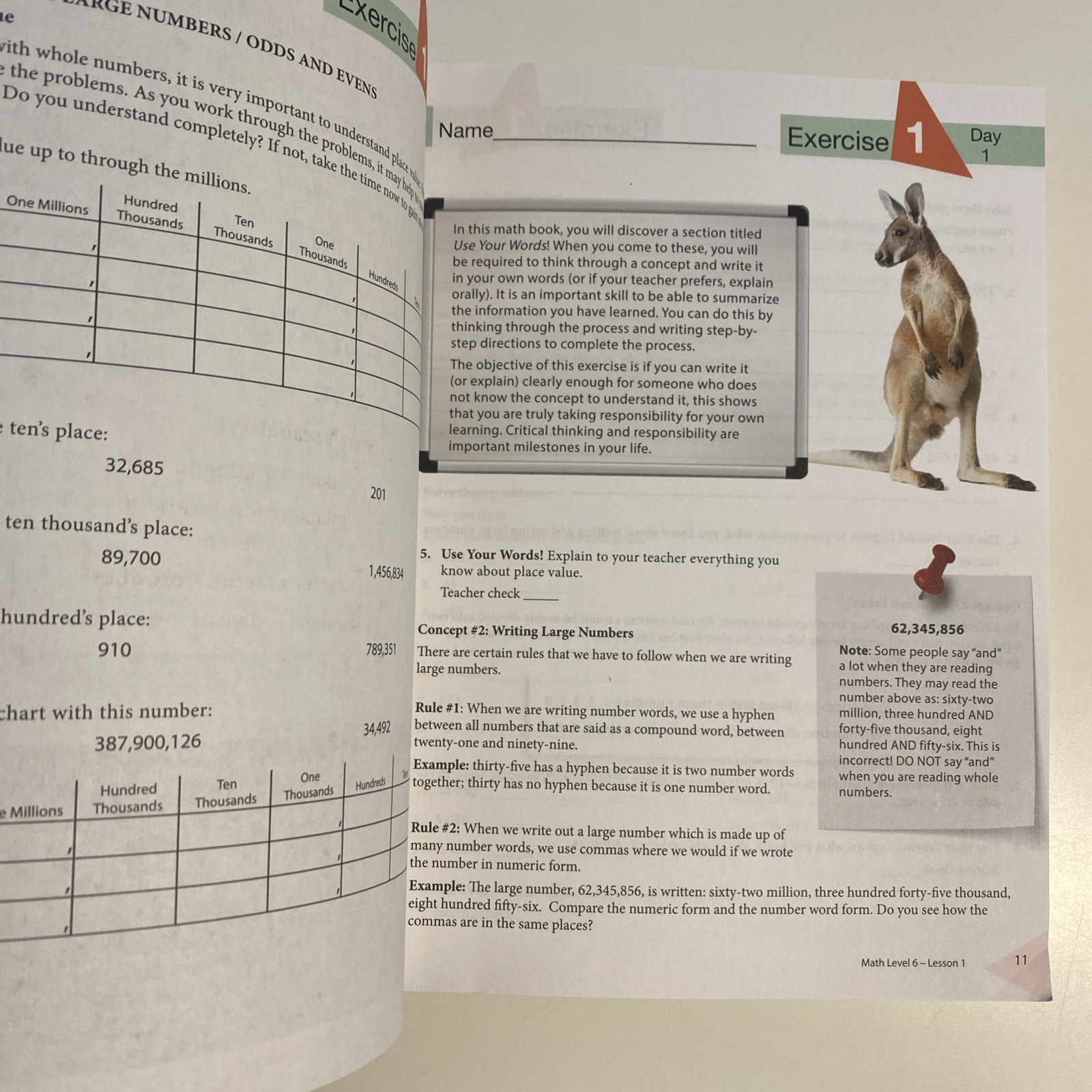 Master Books-Math Lessons For A Living Education: Level 6