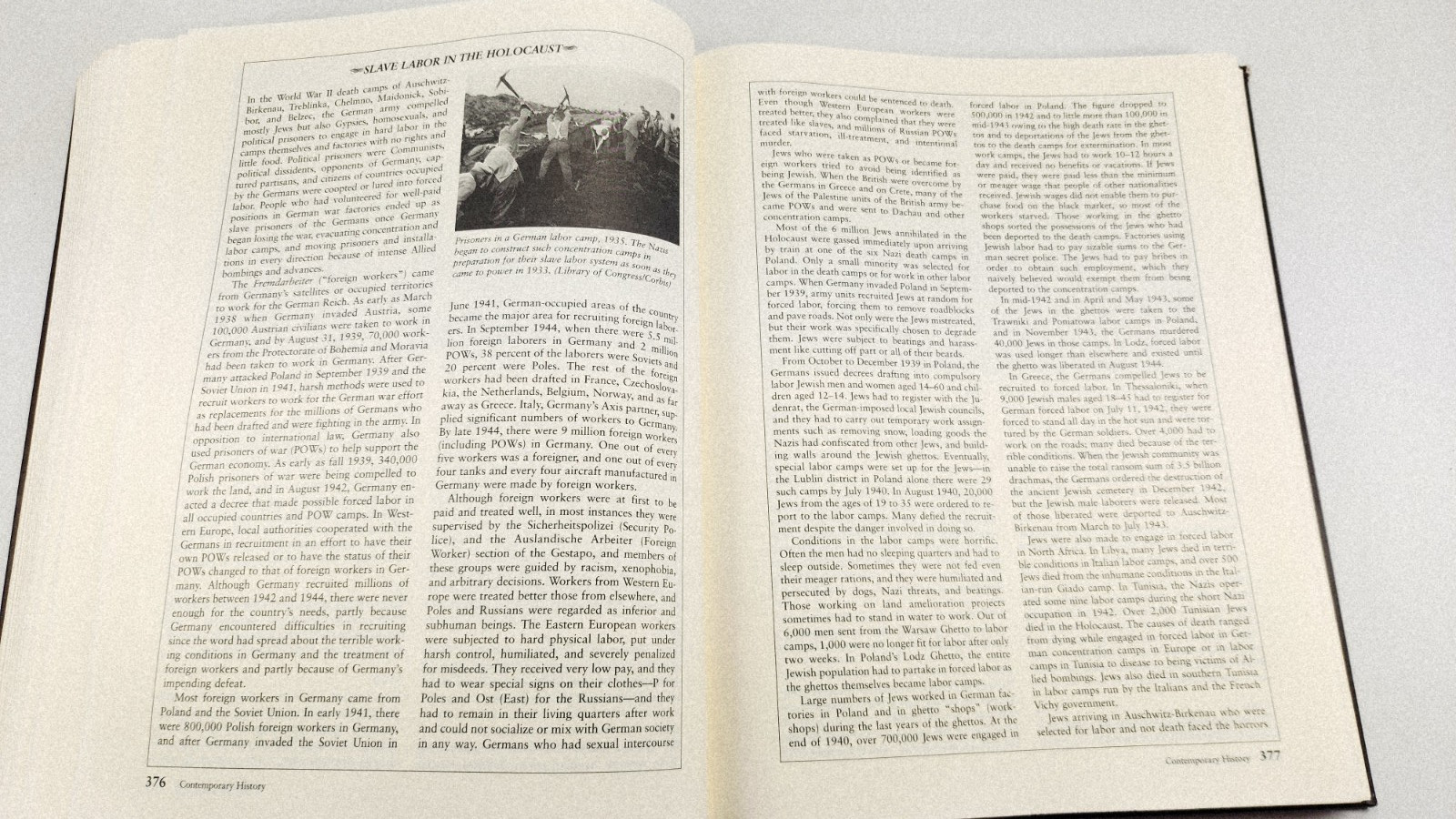 Chronology of World Slavery Junius P. Rodriguez Hardcover, Ex-Library Reference