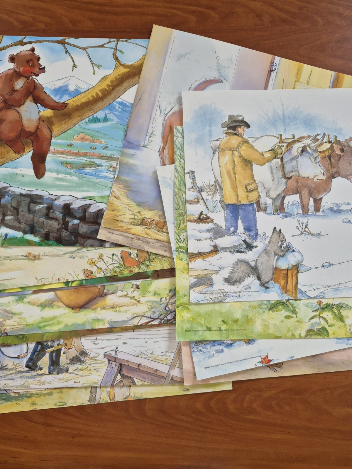 A Beka Homeschool Alphabet Fun Stories Visuals – 19 Cards