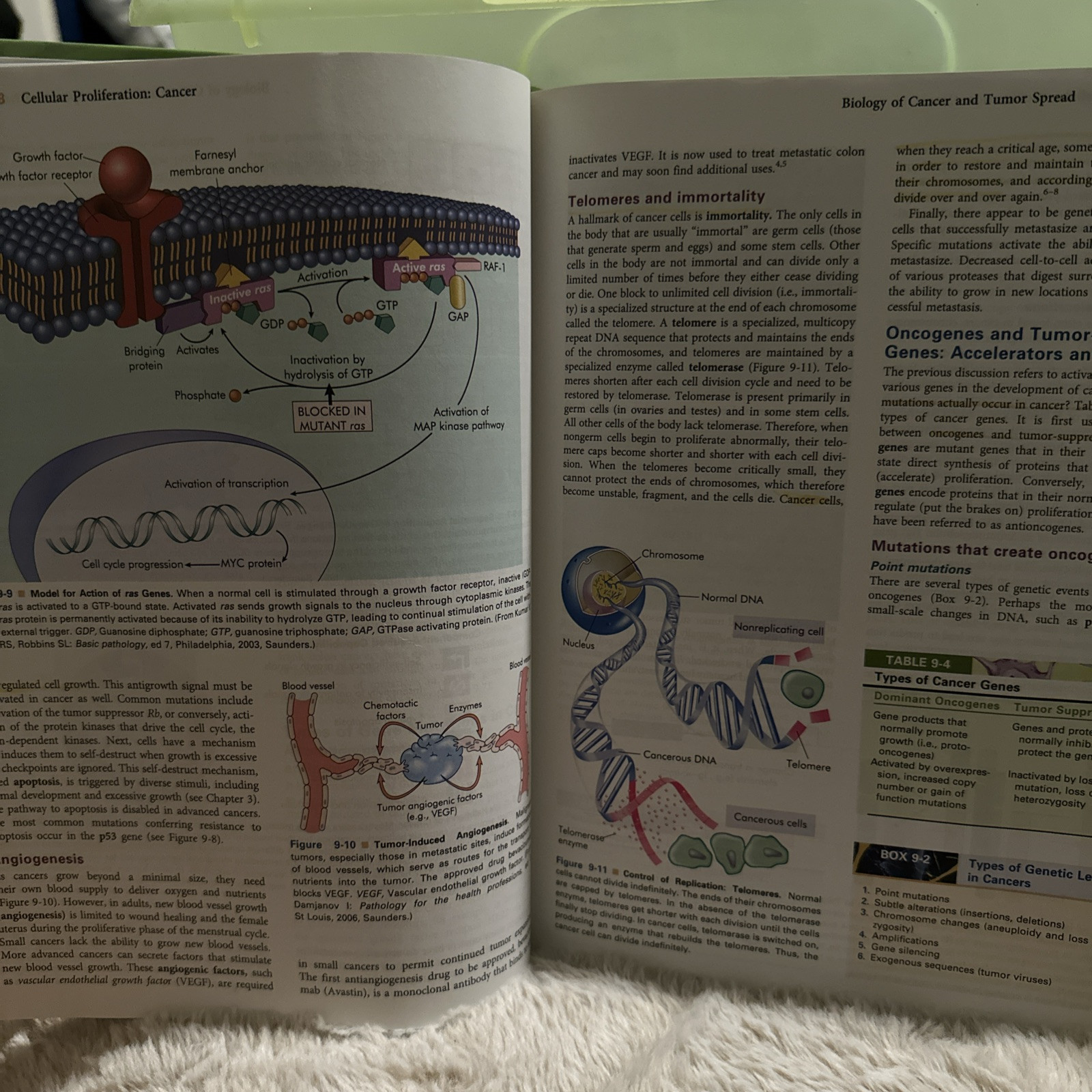 Understanding Pathophysiology by Kathryn L. McCance and Sue E. Huether (2007,…