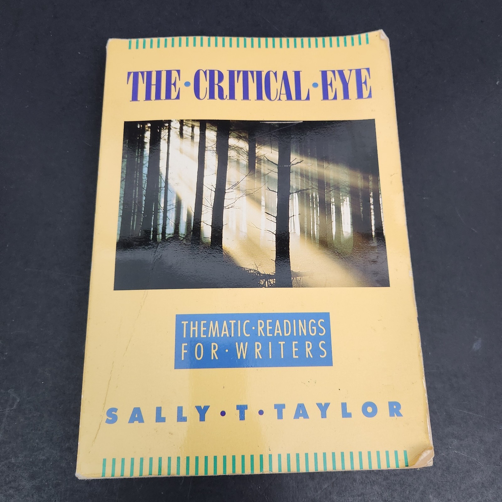 The Critical Eye thematic readings for writers by Sally T. Taylor 1990 vintage