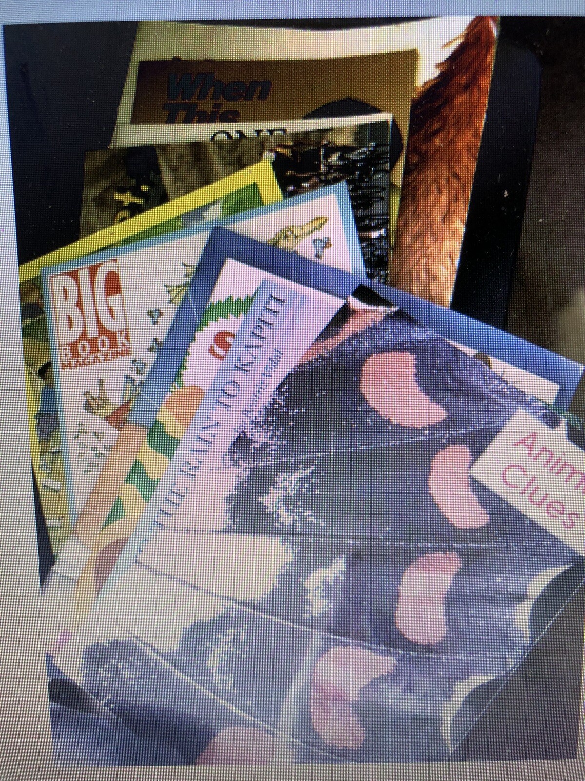 Teachers BIG BOOK Primary Grades $15 Each: Many Titles Available