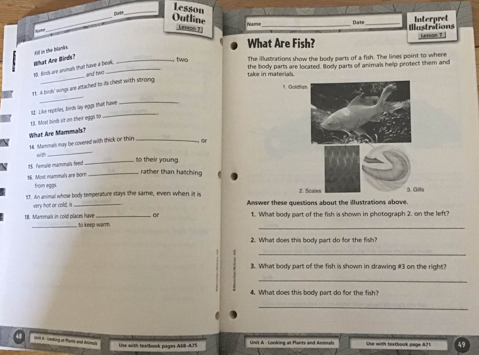 3rd Grade 3 Science Teachers Editions Test Workbook McGraw Homeschool Bundle Set