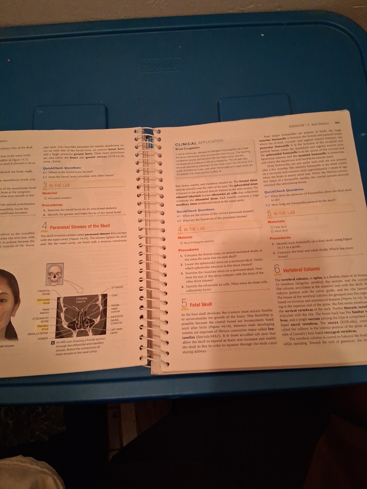 Laboratory Manual for Anatomy and Physiology Featuring Martini Art, Main Version