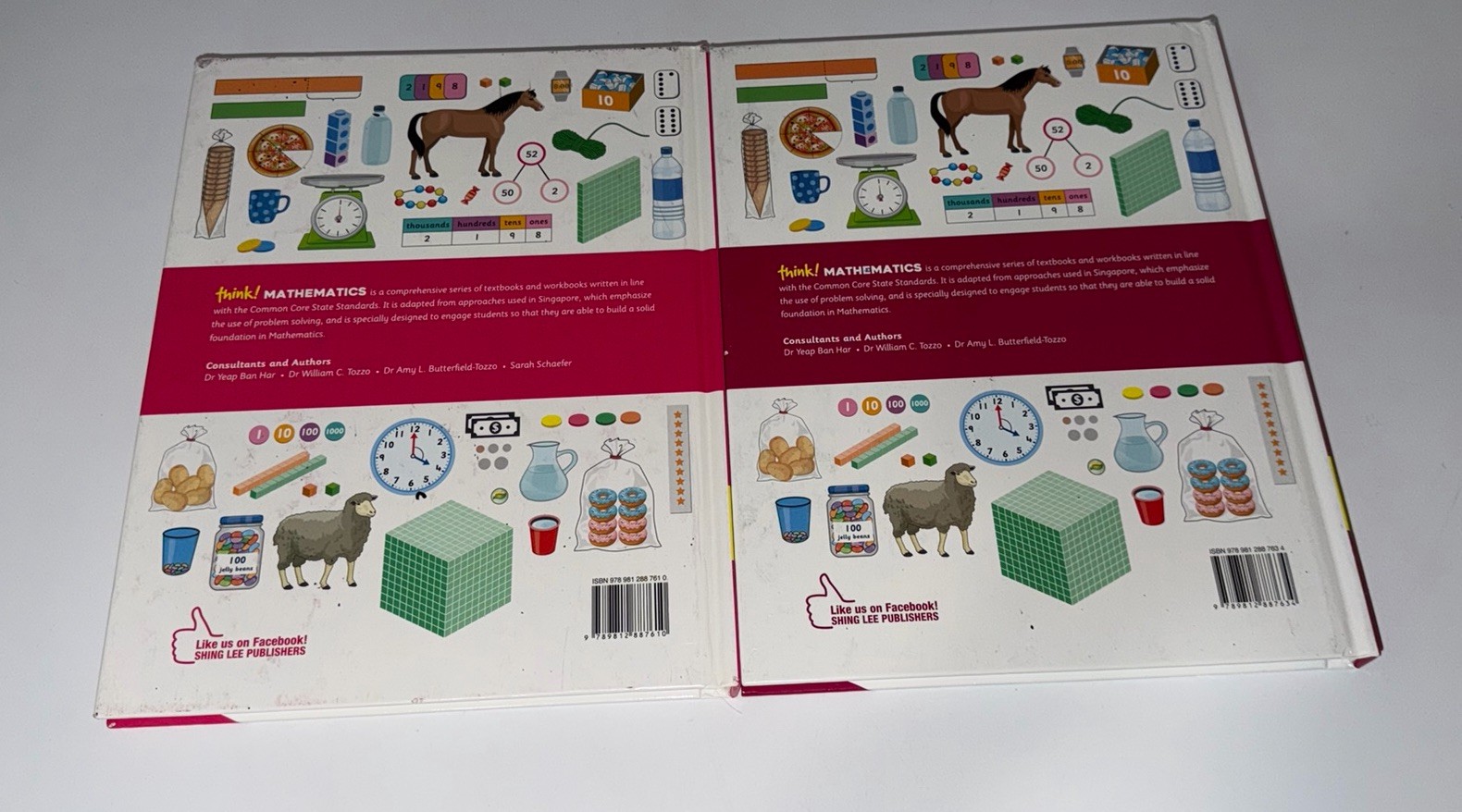 Think! Mathematics Textbook 3rd Grade 3A & 3B Common Core Singapore Homeschool