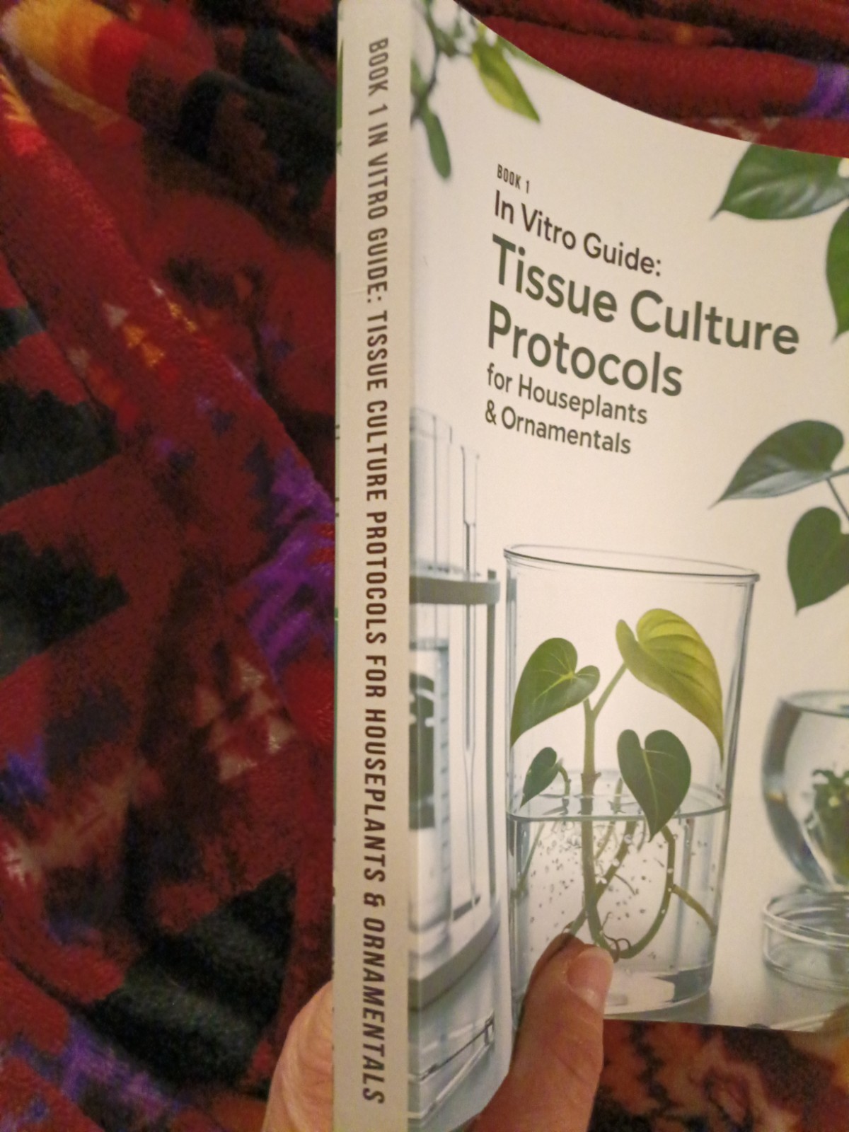 In Vitro Guide: Tissue Culture Protocols for Houseplants & Ornamentals: 50 Tissu